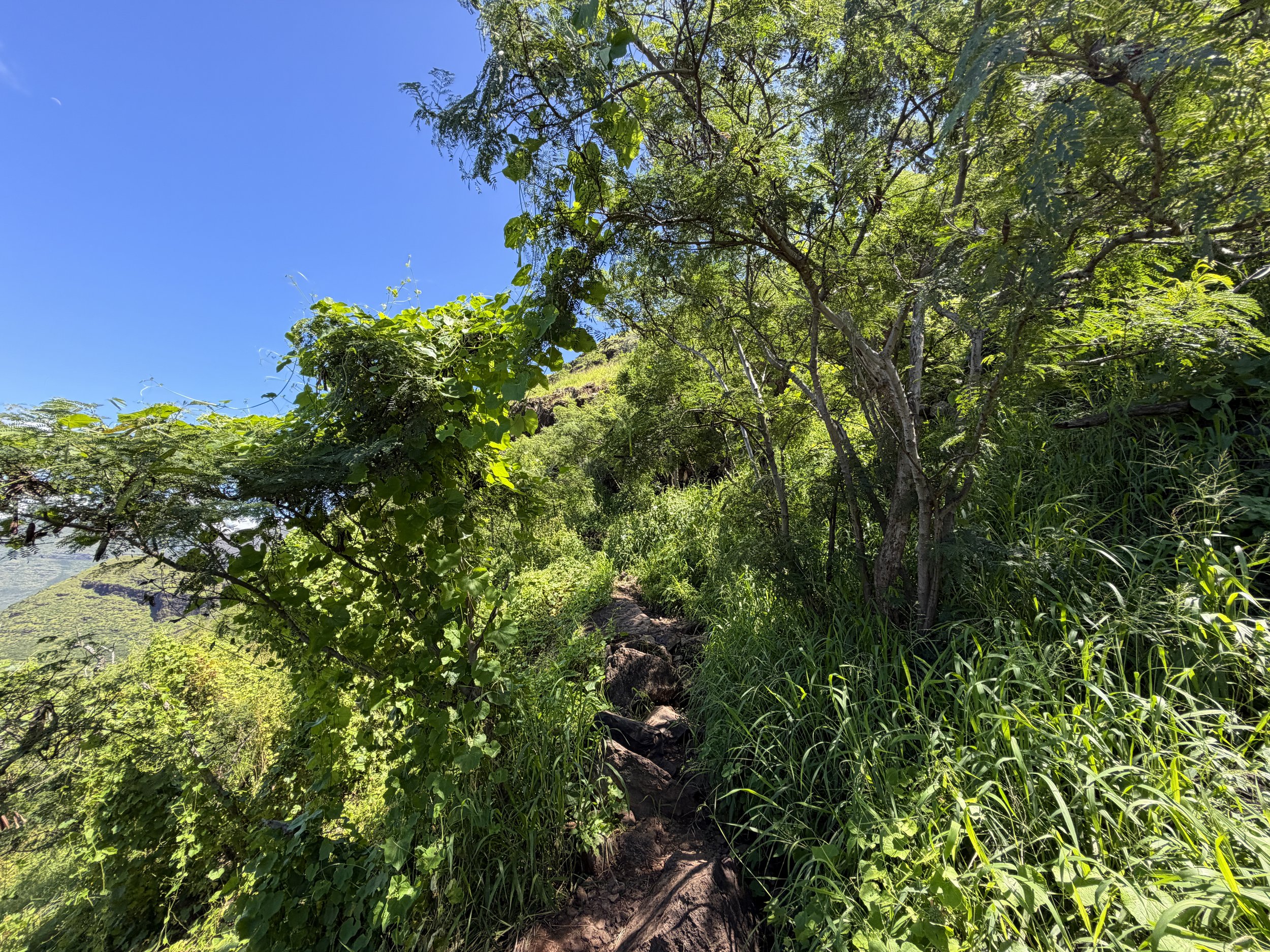Pink Pillbox Hike Oahu Hawaii