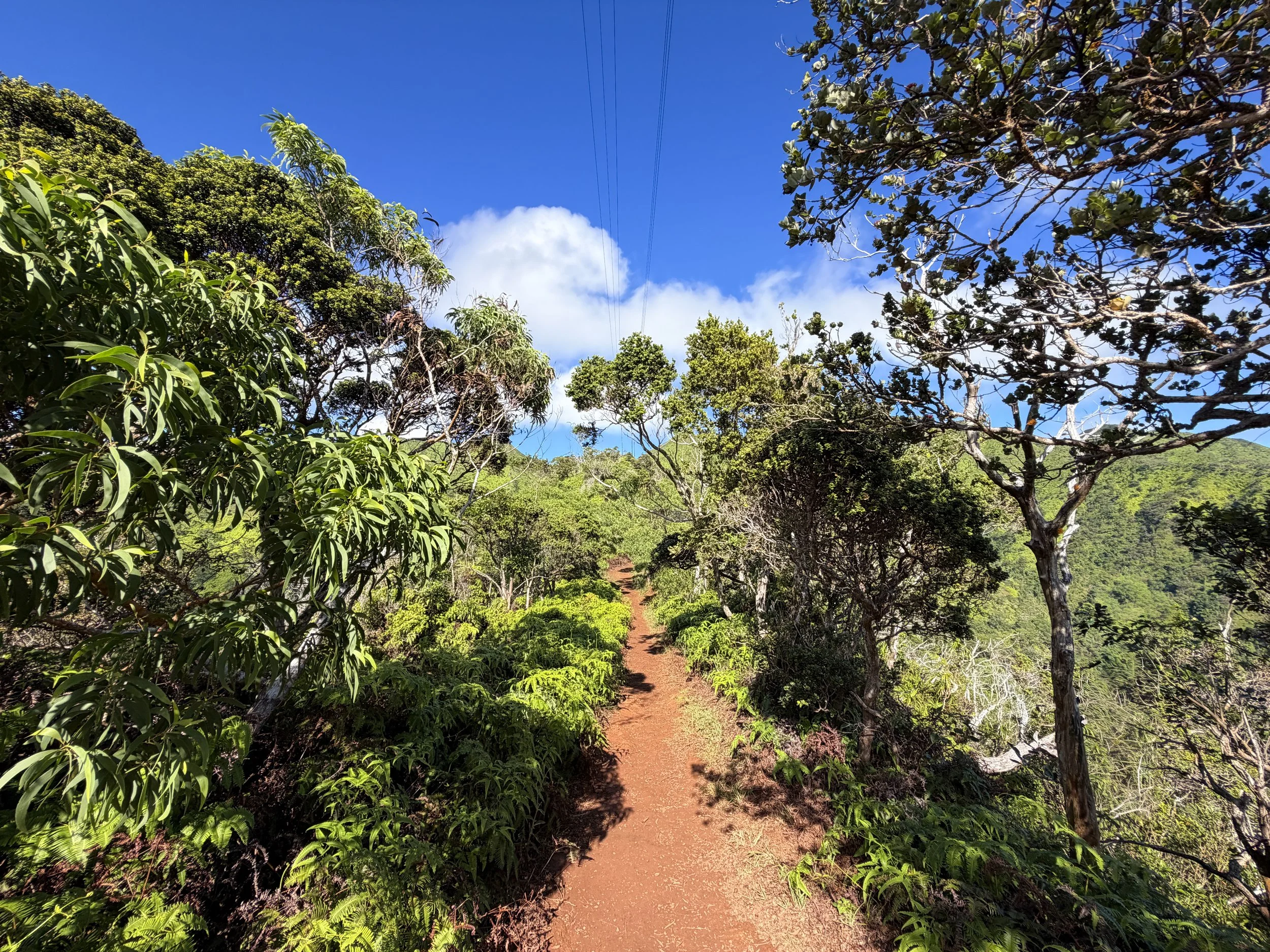 Wiliwilinui Ridge Trail Oahu Hawaii