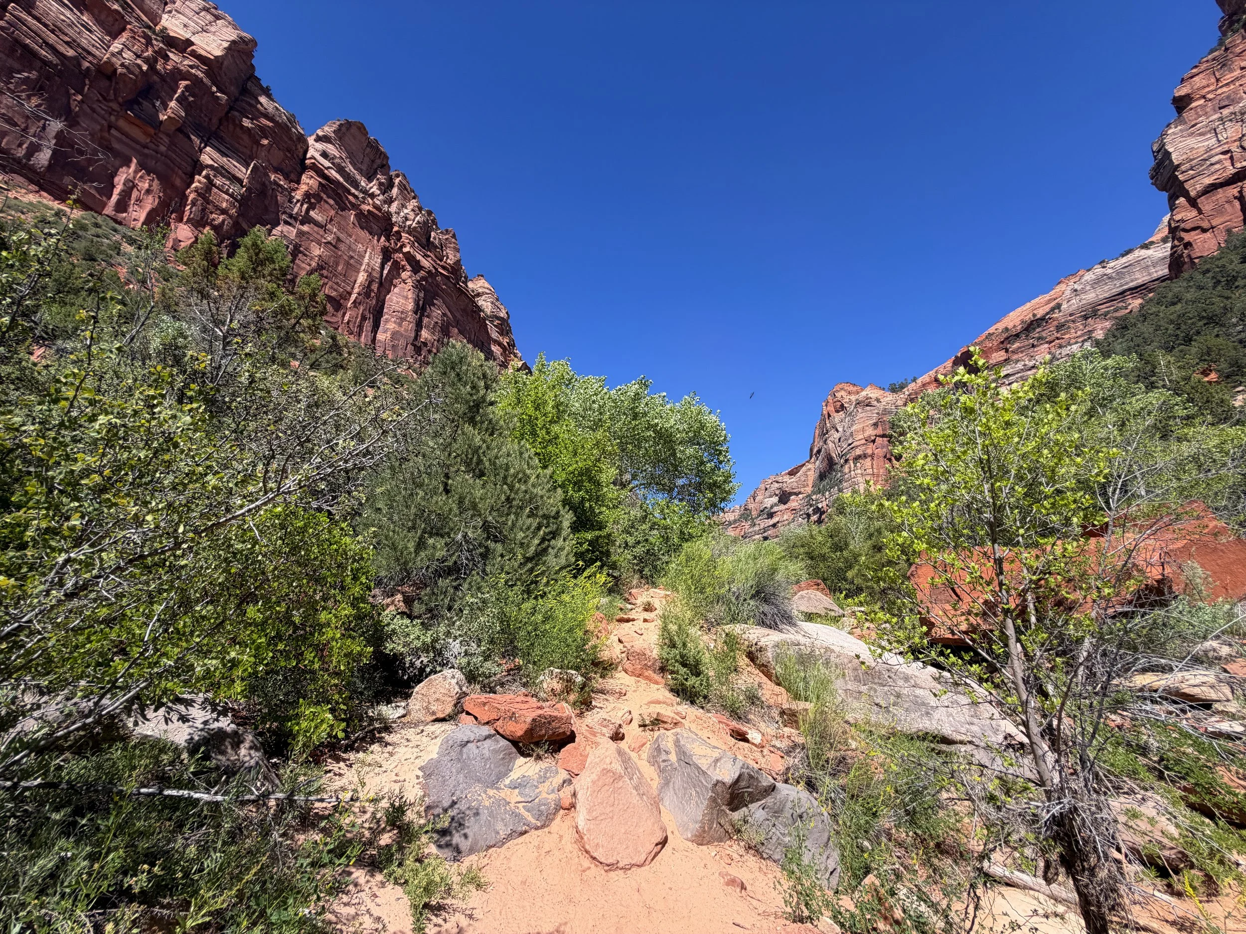 Subway Trail via Left Fork of the North Creek Zion National Park Utah