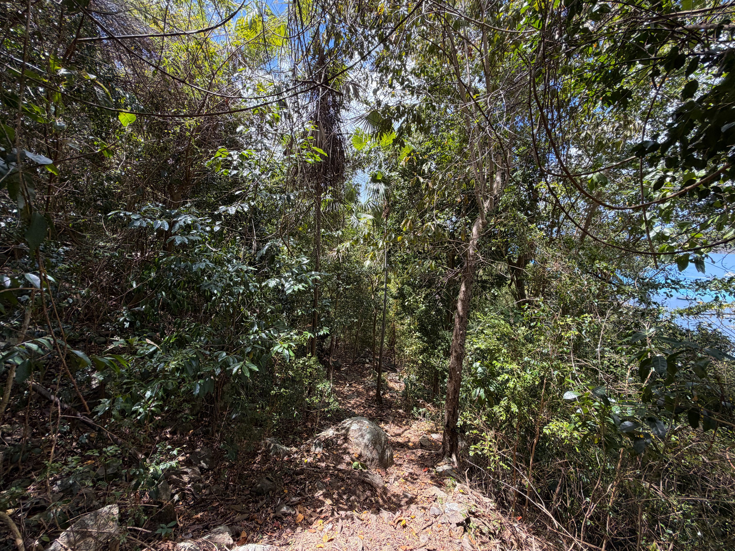 Maria Hope Trail Virgin Islands National Park