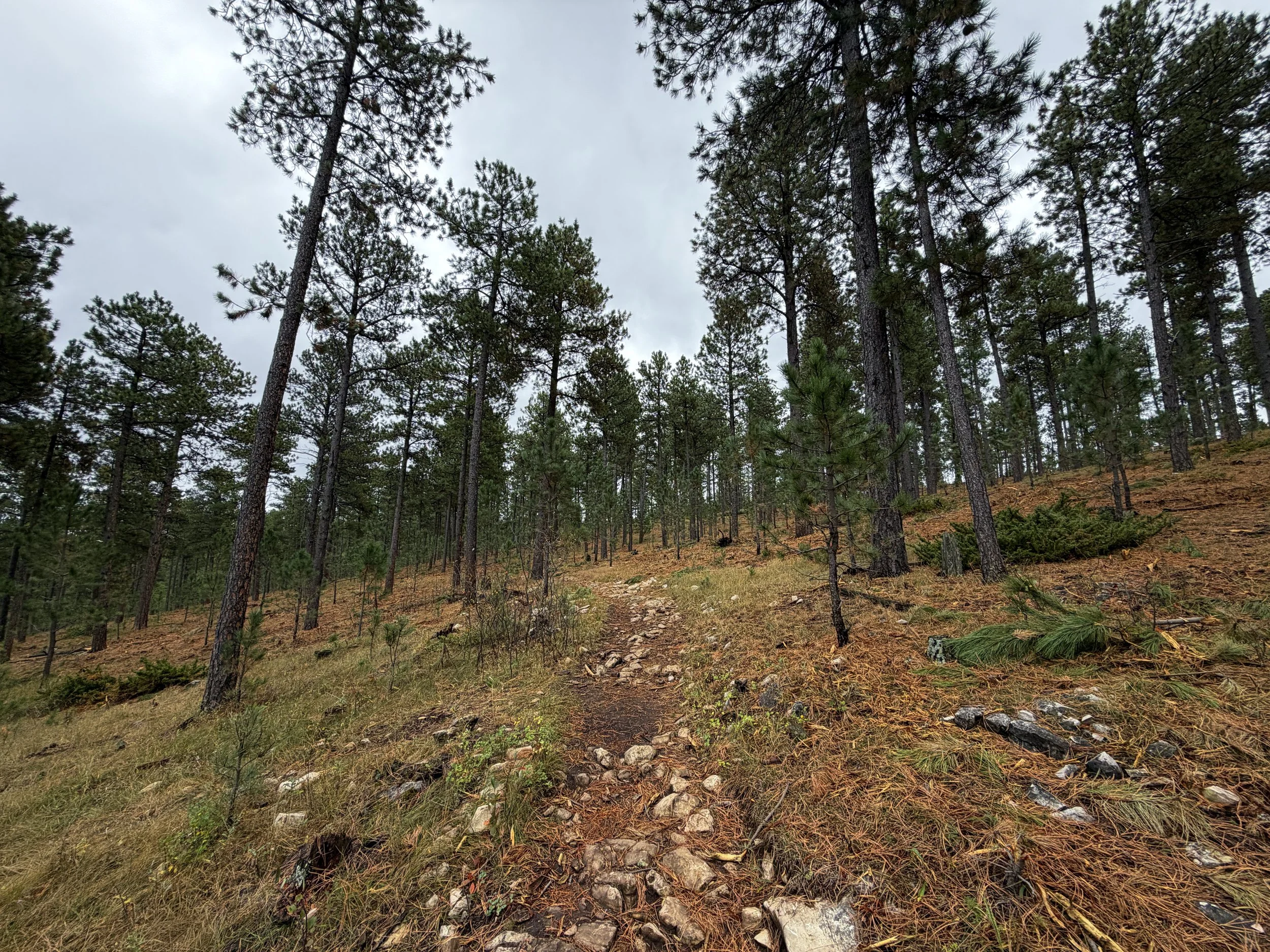 Buzzards Roost Trail Black Hills Rapid City South Dakota