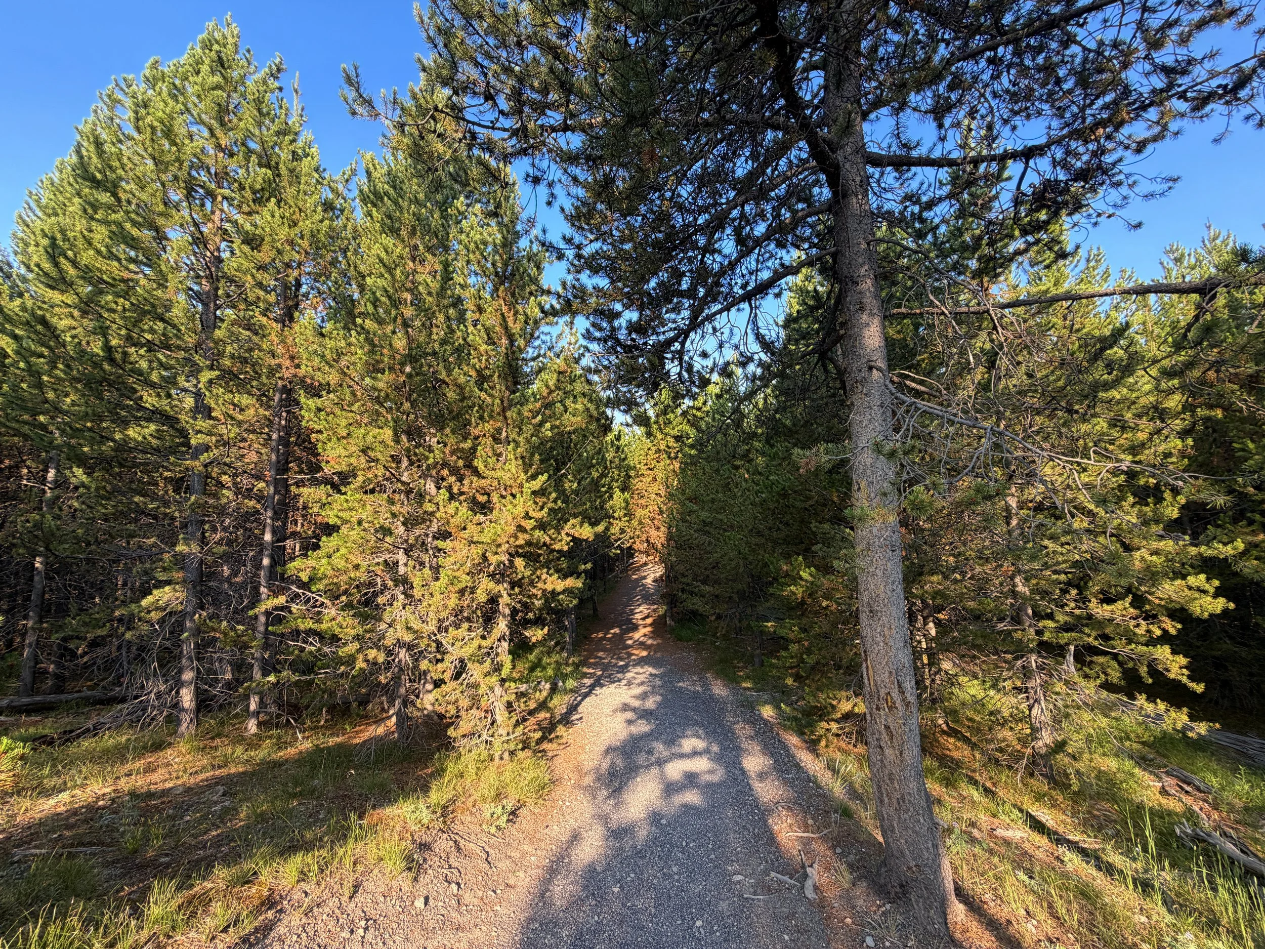 Mystic Falls Hike Yellowstone National Park Wyoming