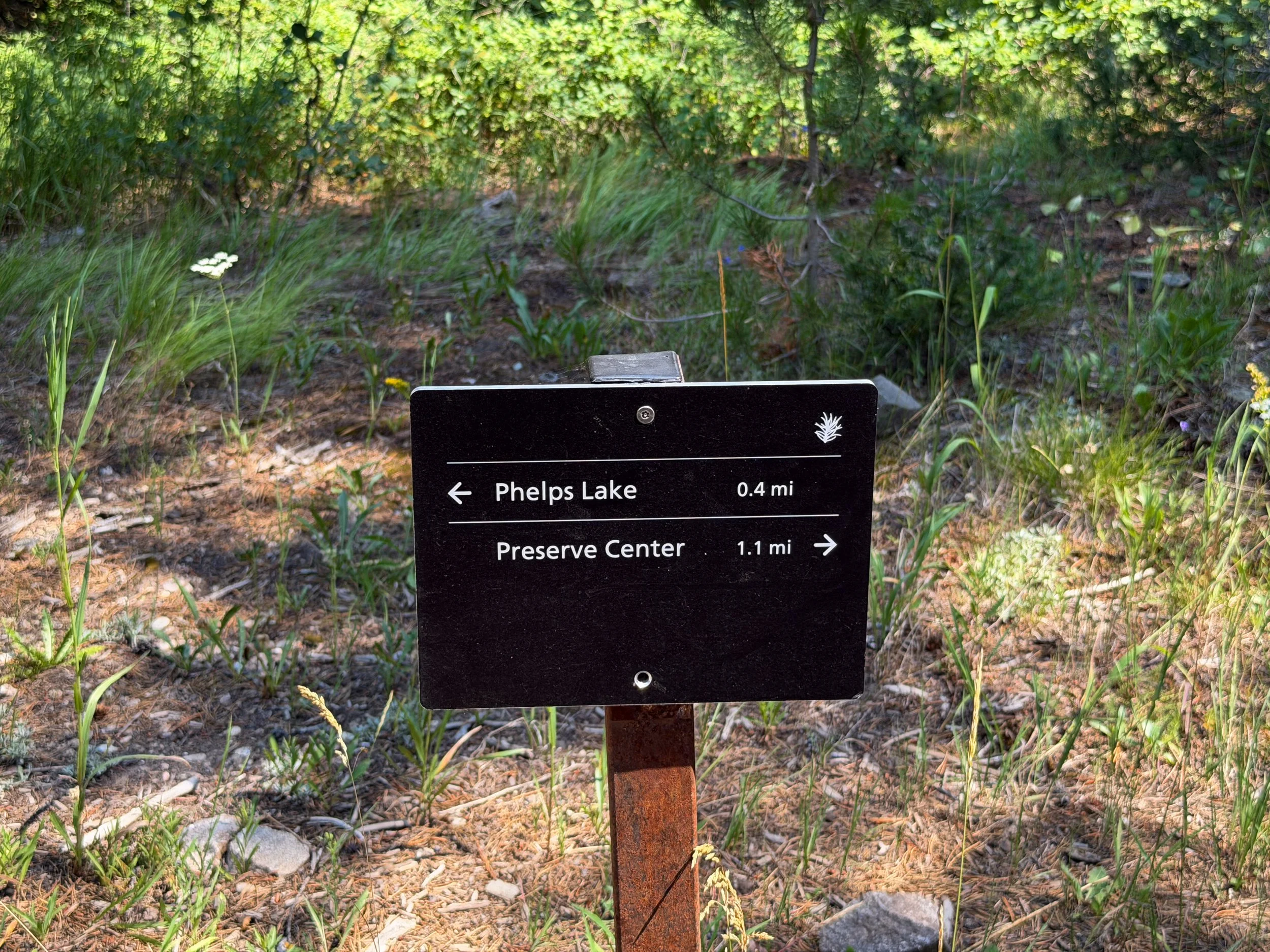 Phelps Lake Loop Trail Grand Teton National Park Wyoming