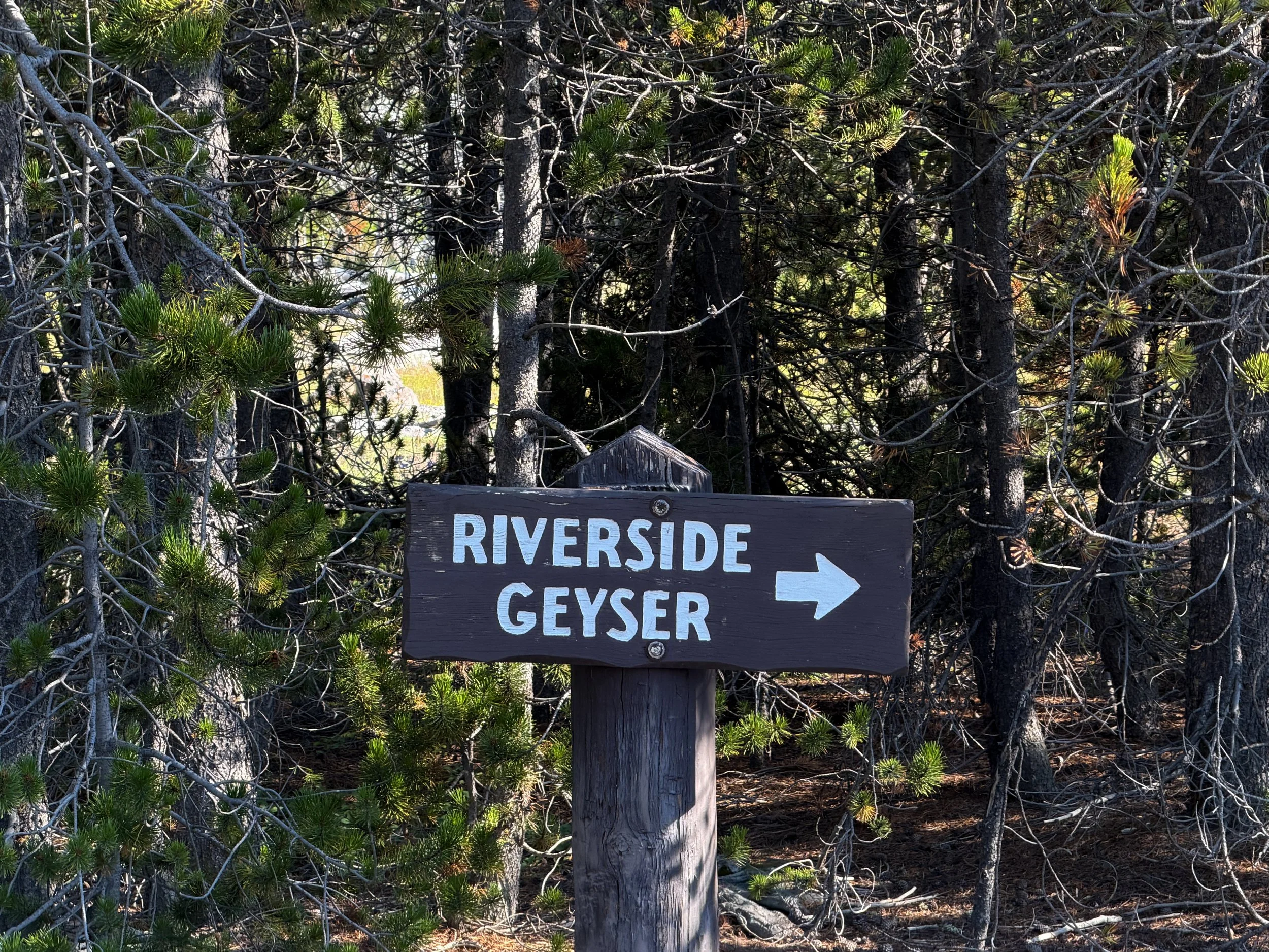 Riverside Geyser Yellowstone National Park Wyoming