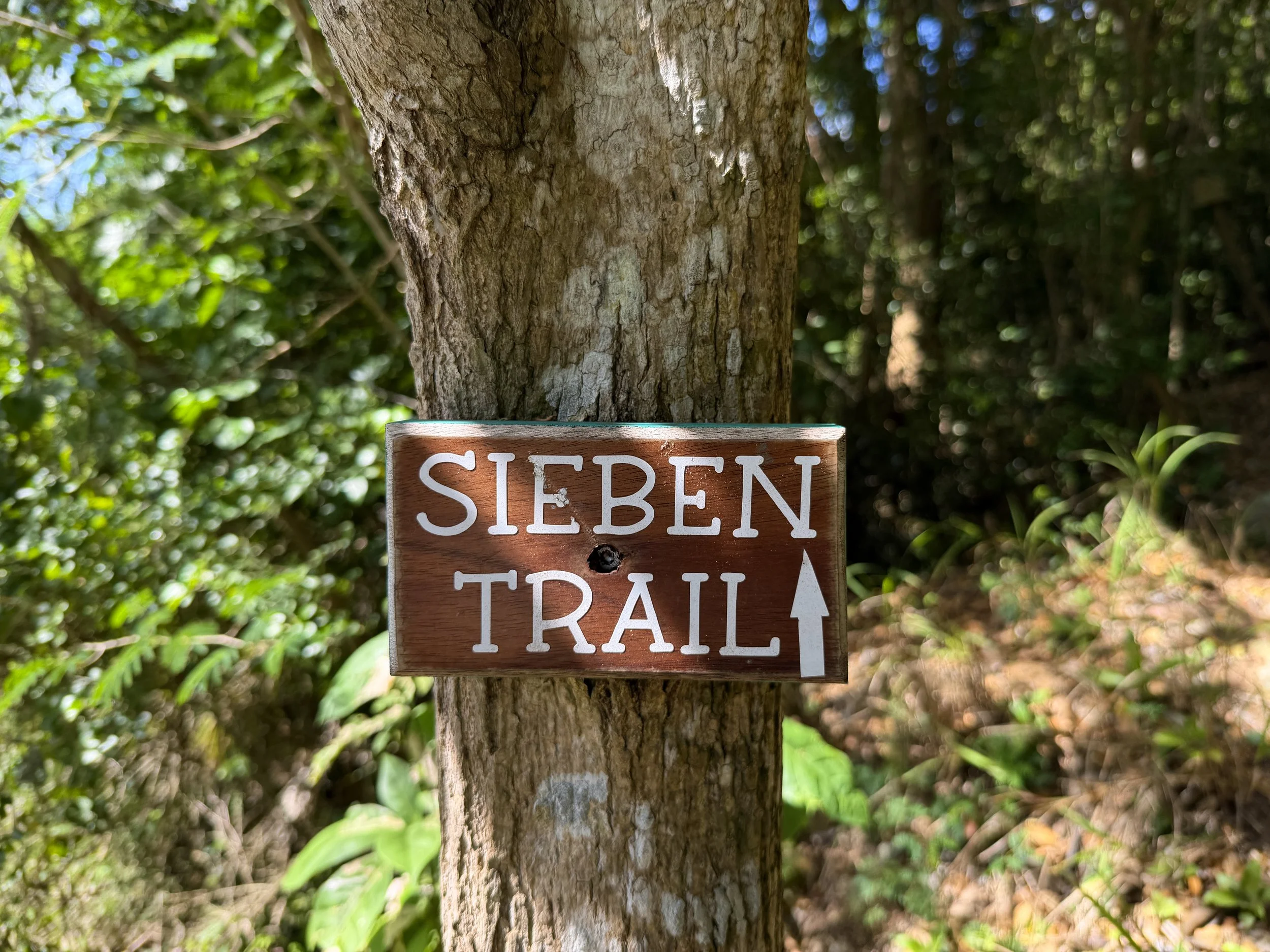 Great Sieben Trailhead Virgin Islands National Park