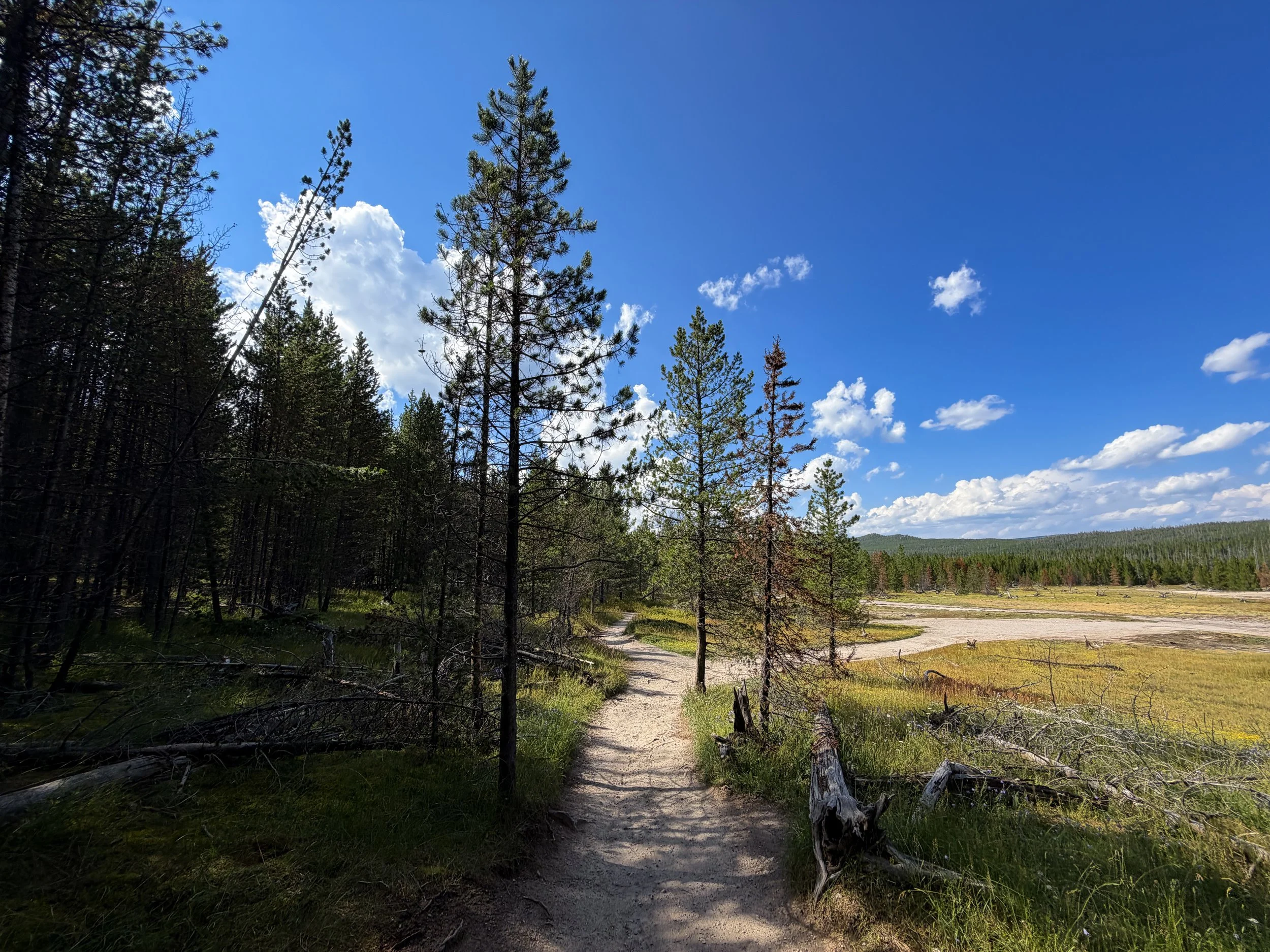Artists Paintpots Trail Yellowstone National Park Wyoming