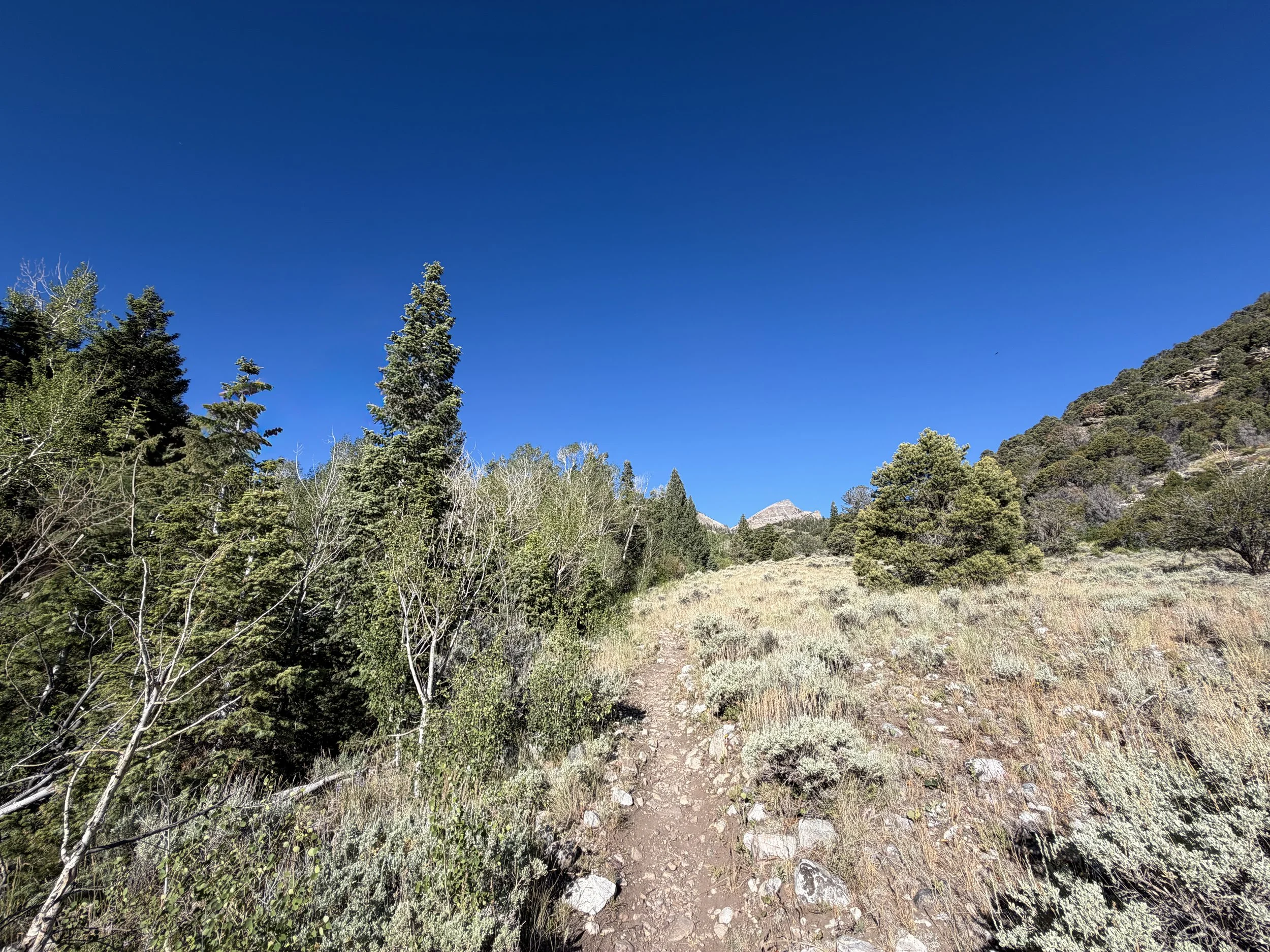 Baker Lake Trail Great Basin National Park Nevada