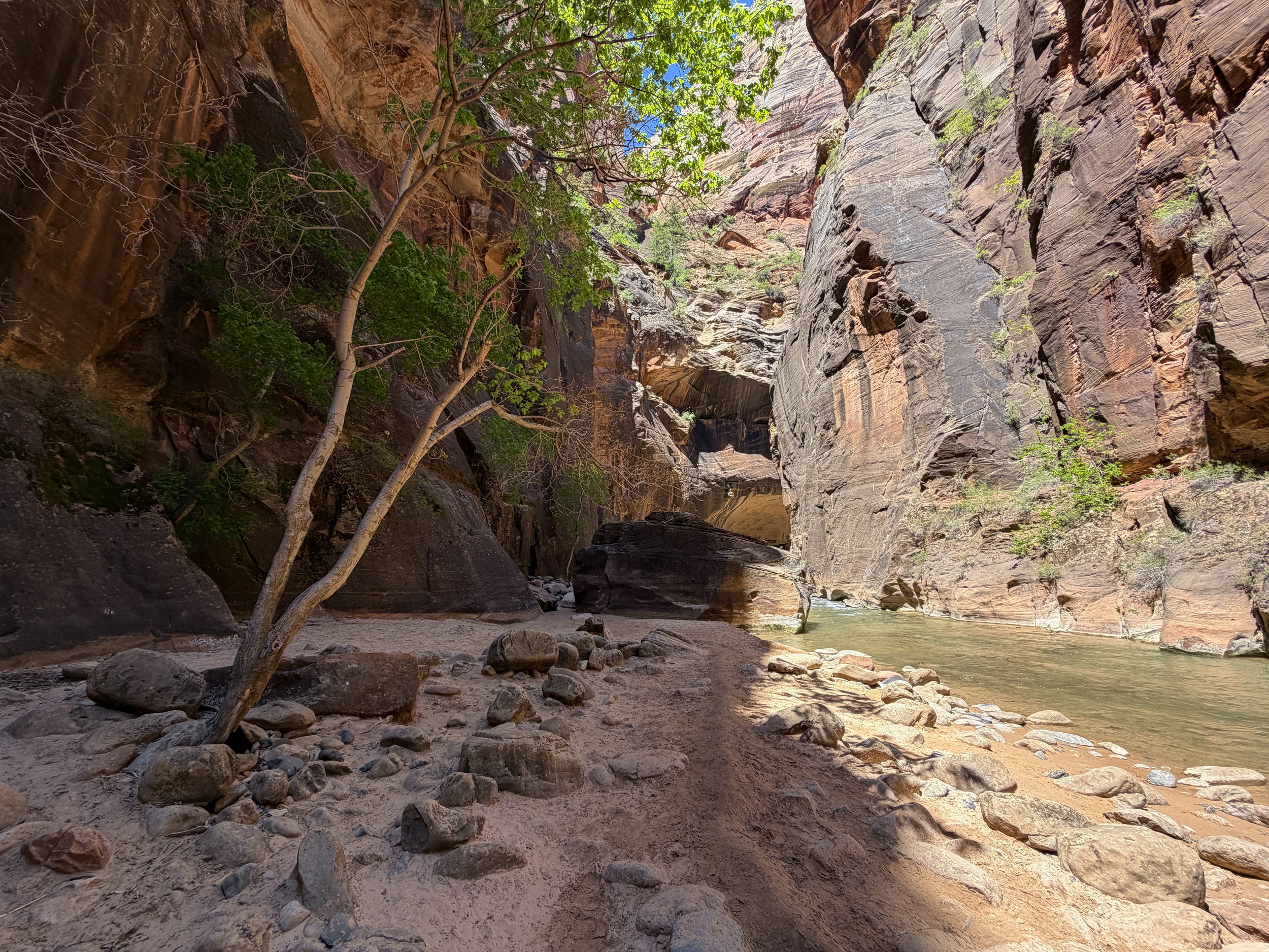 Narrows Trail Zion National Park Utah