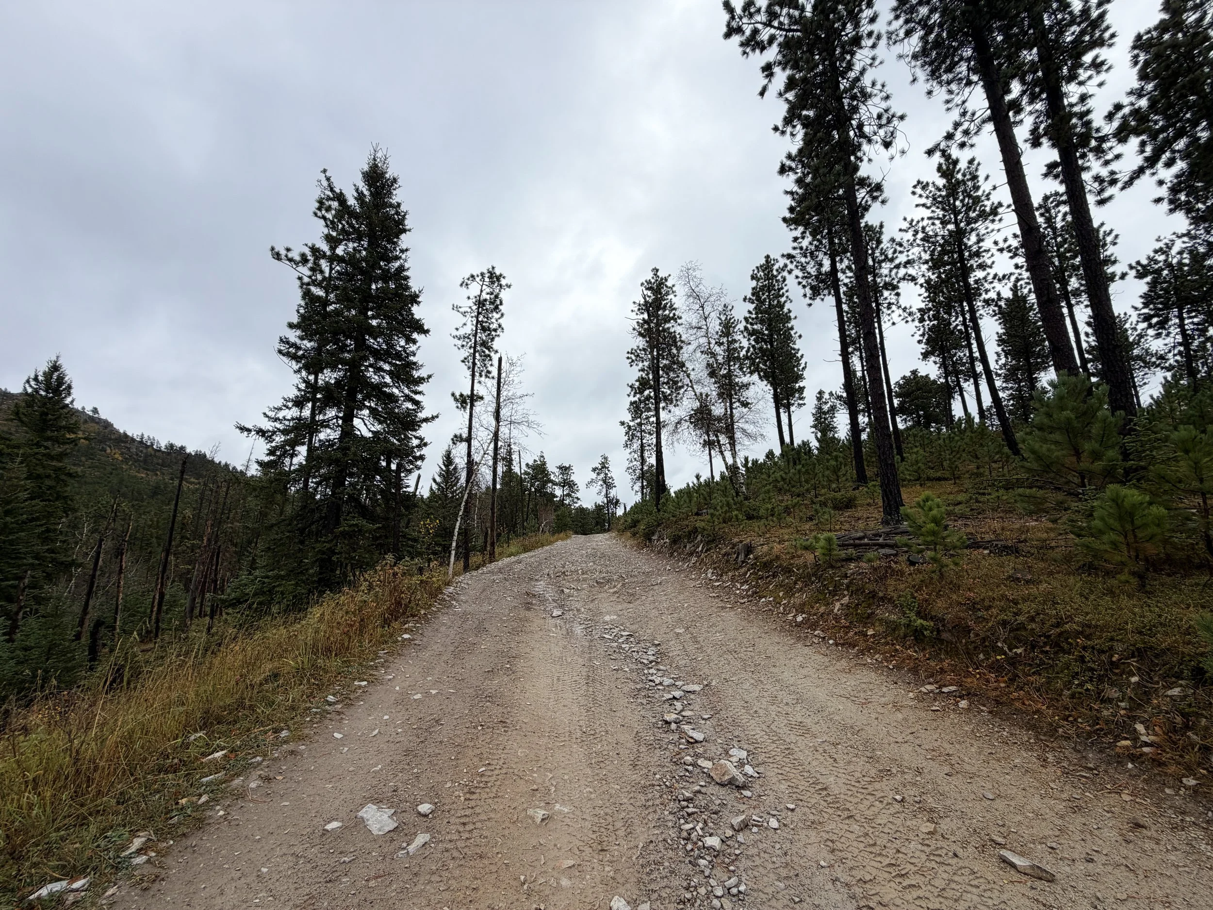 Custer Peak Fire Lookout Trail Black Hills South Dakota