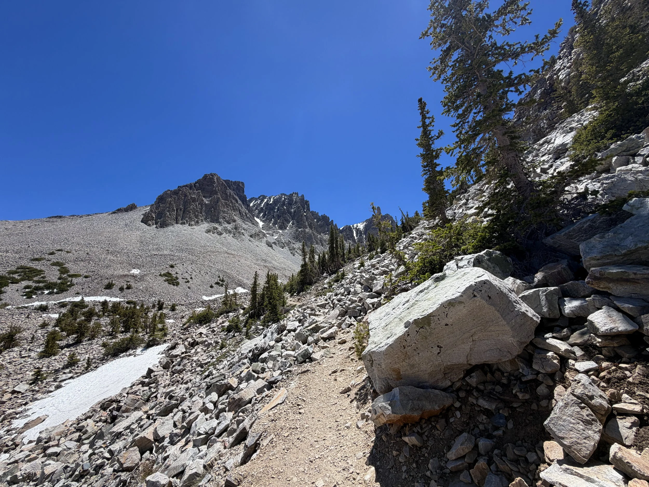 Glacier Trail Great Basin National Park Nevada