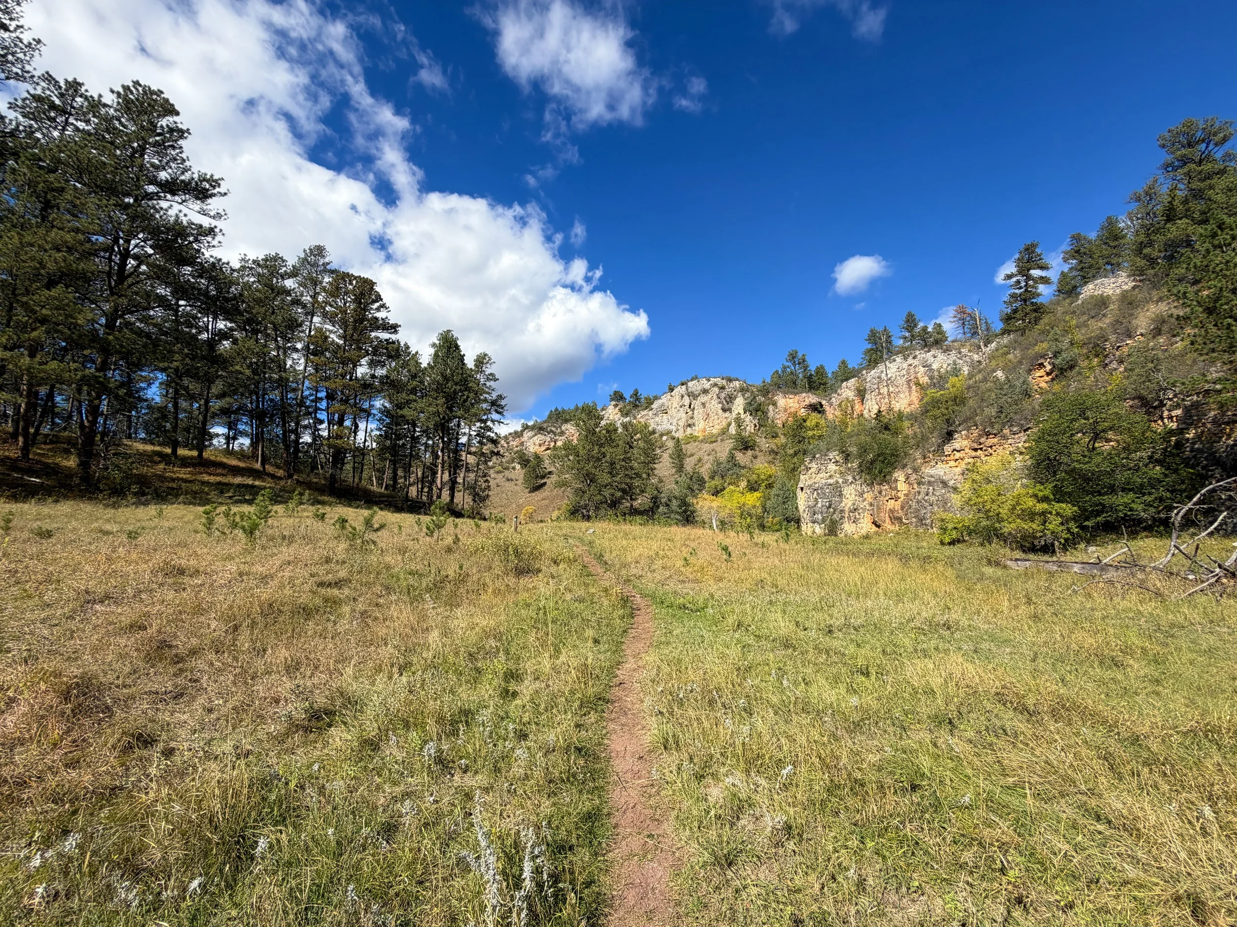 Lookout Point Loop Trail Wind Cave National Park South Dakota