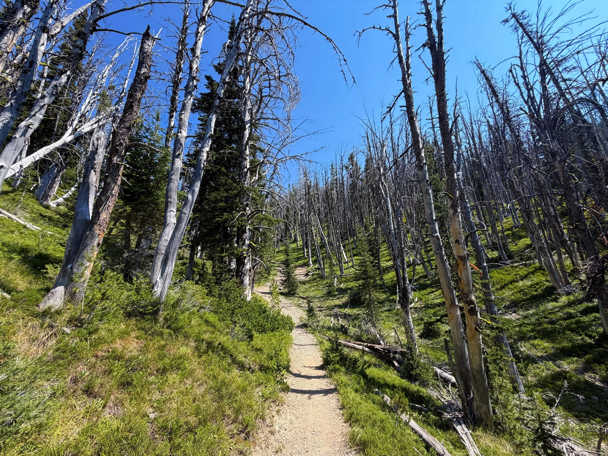 Avalanche Peak Hike Yellowstone National Park Wyoming