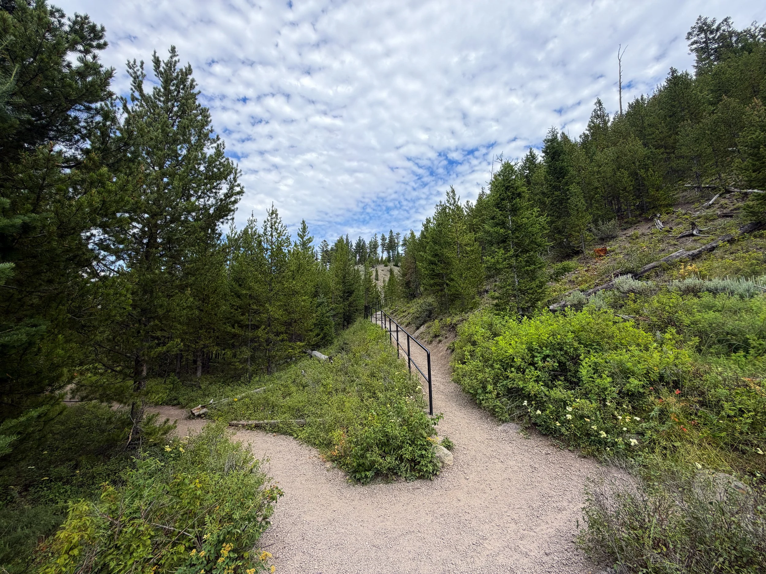 Wraith Falls Trail Yellowstone National Park Wyoming