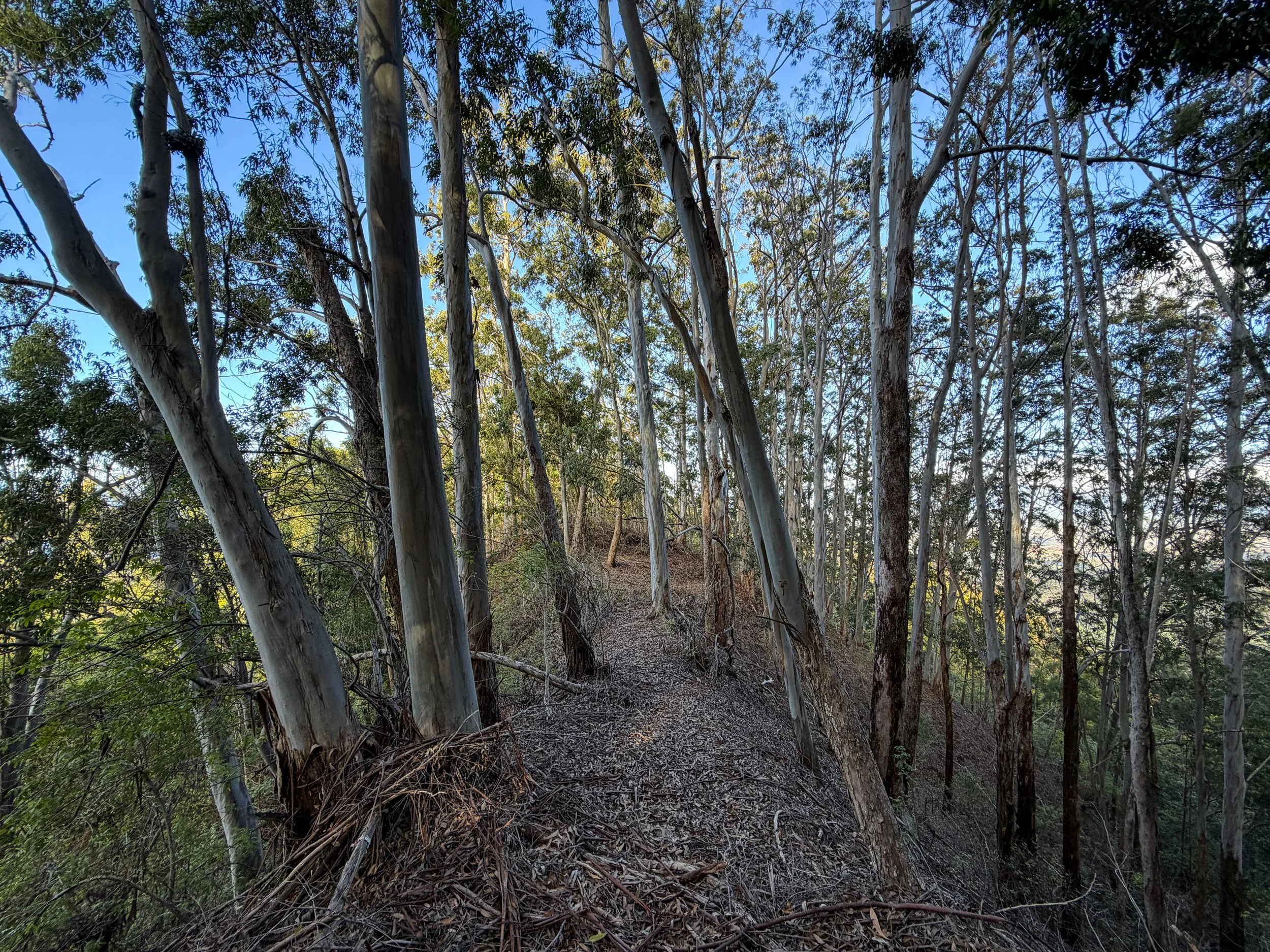 Mokuleia Trail Oahu Hawaii