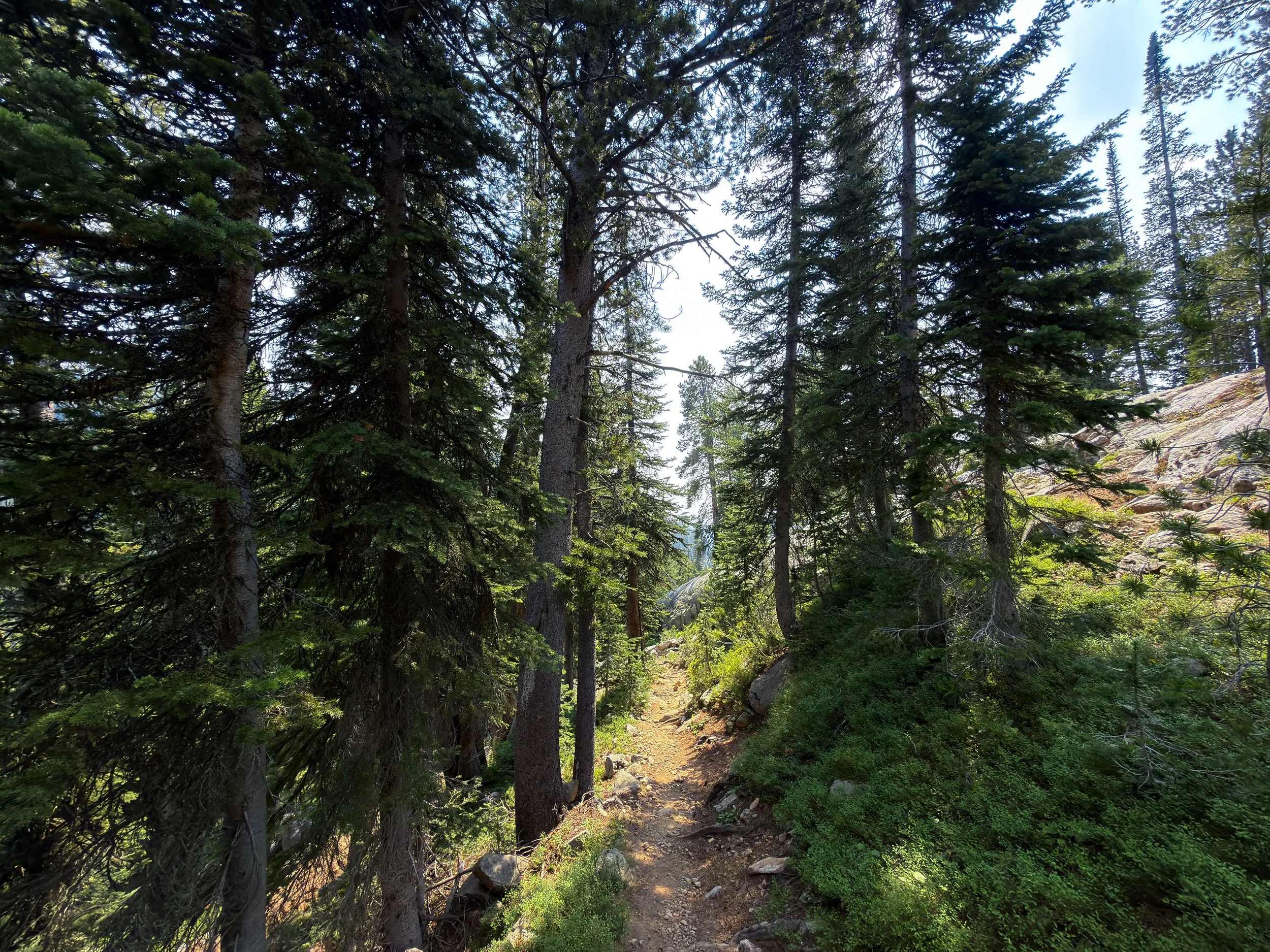 Russell Creek Trail The Beaten Path Beartooth Mountains Montana