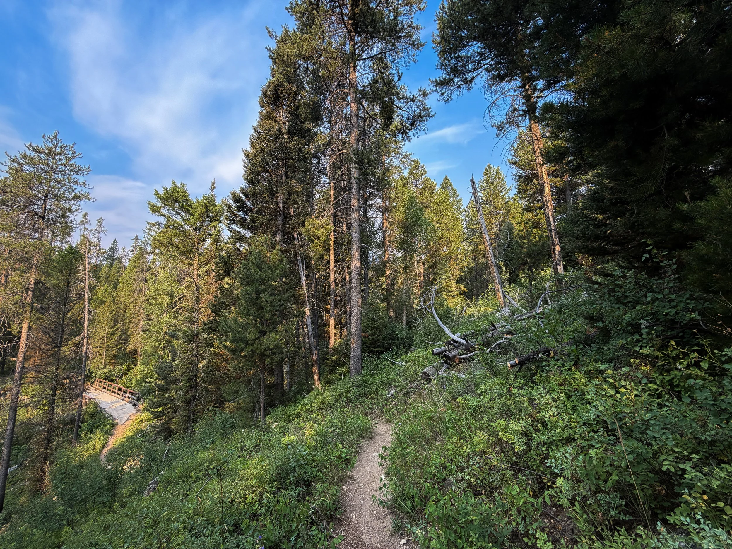 Aspen Boulder Ridge Loop Trail Grand Teton National Park Wyoming