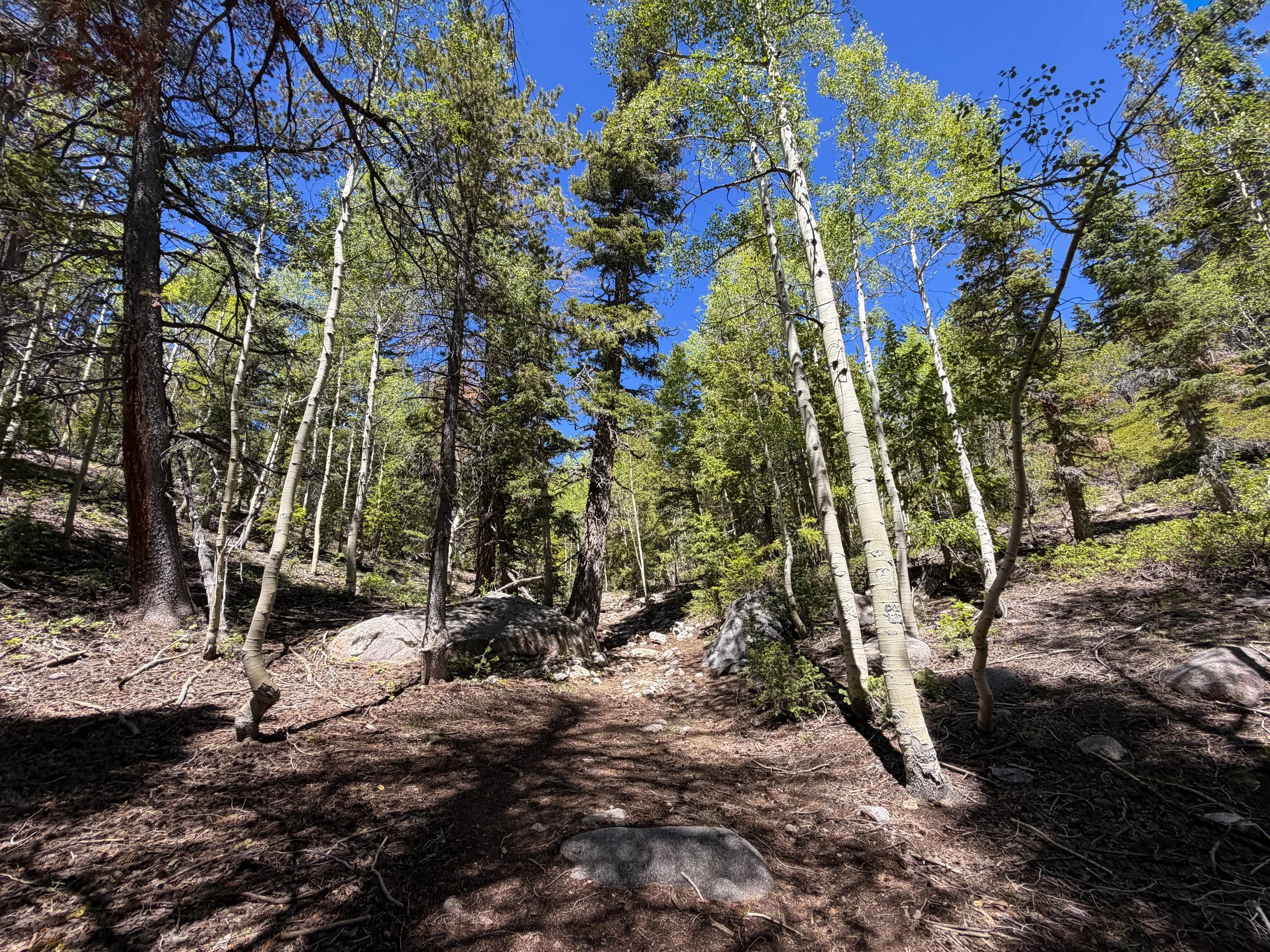 Dead Lake Hike Great Basin National Park Nevada