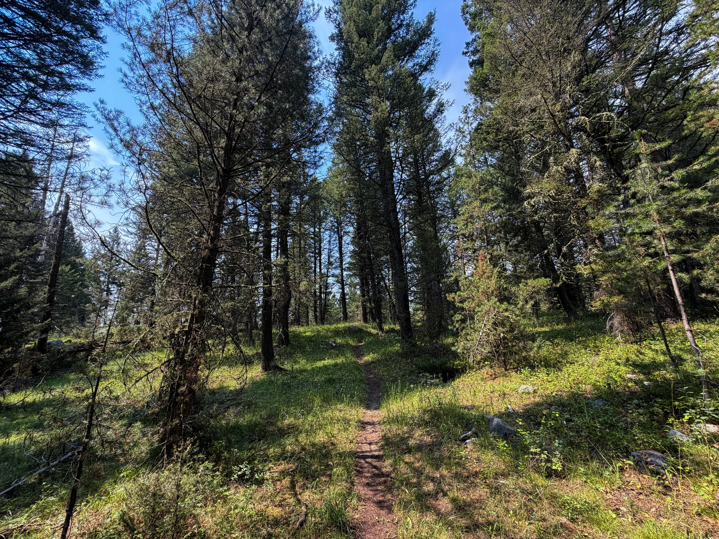 Boulder Ridge Trail Grand Teton National Park Wyoming