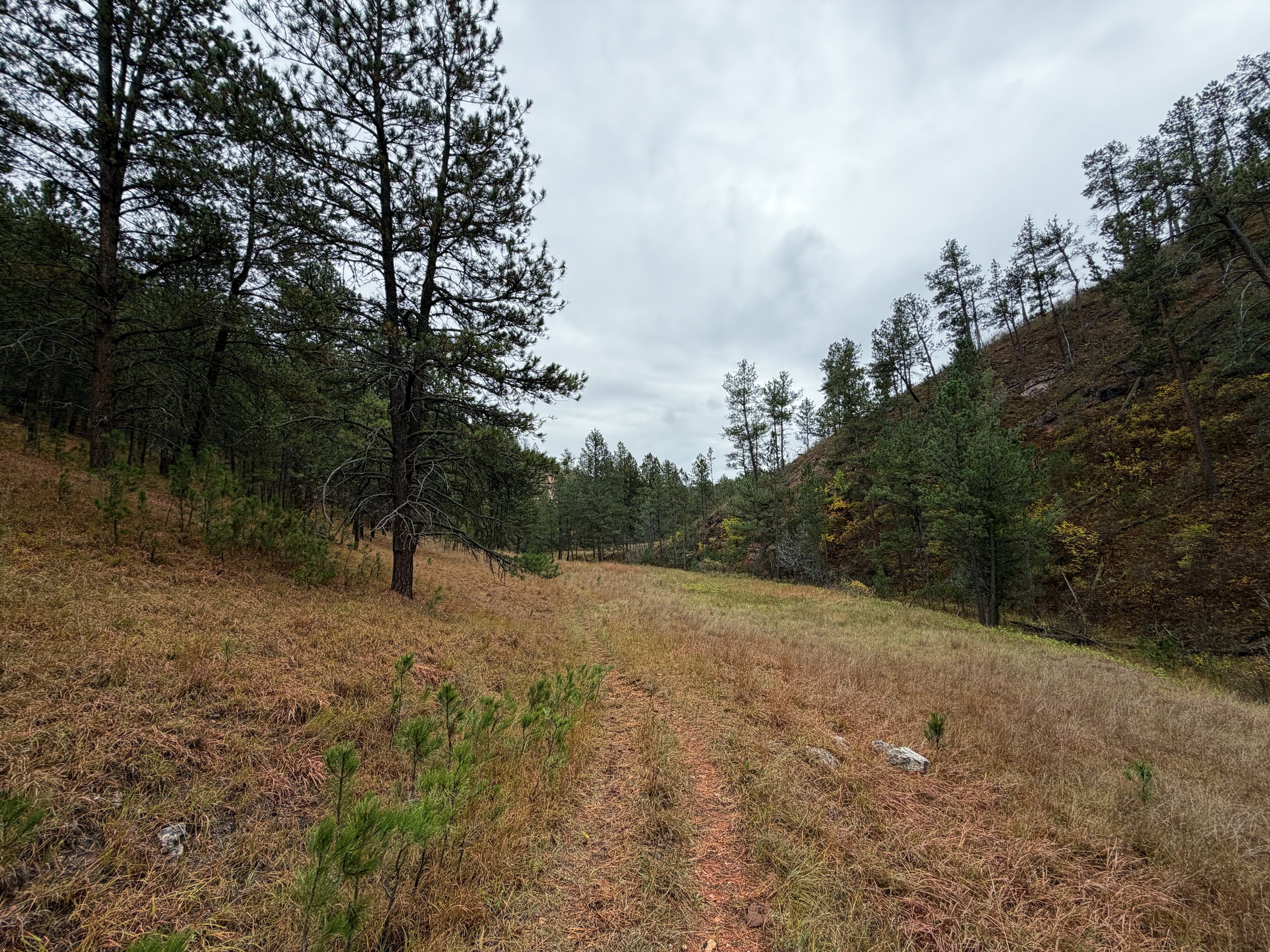 Highland Creek Trail Wind Cave National Park South Dakota
