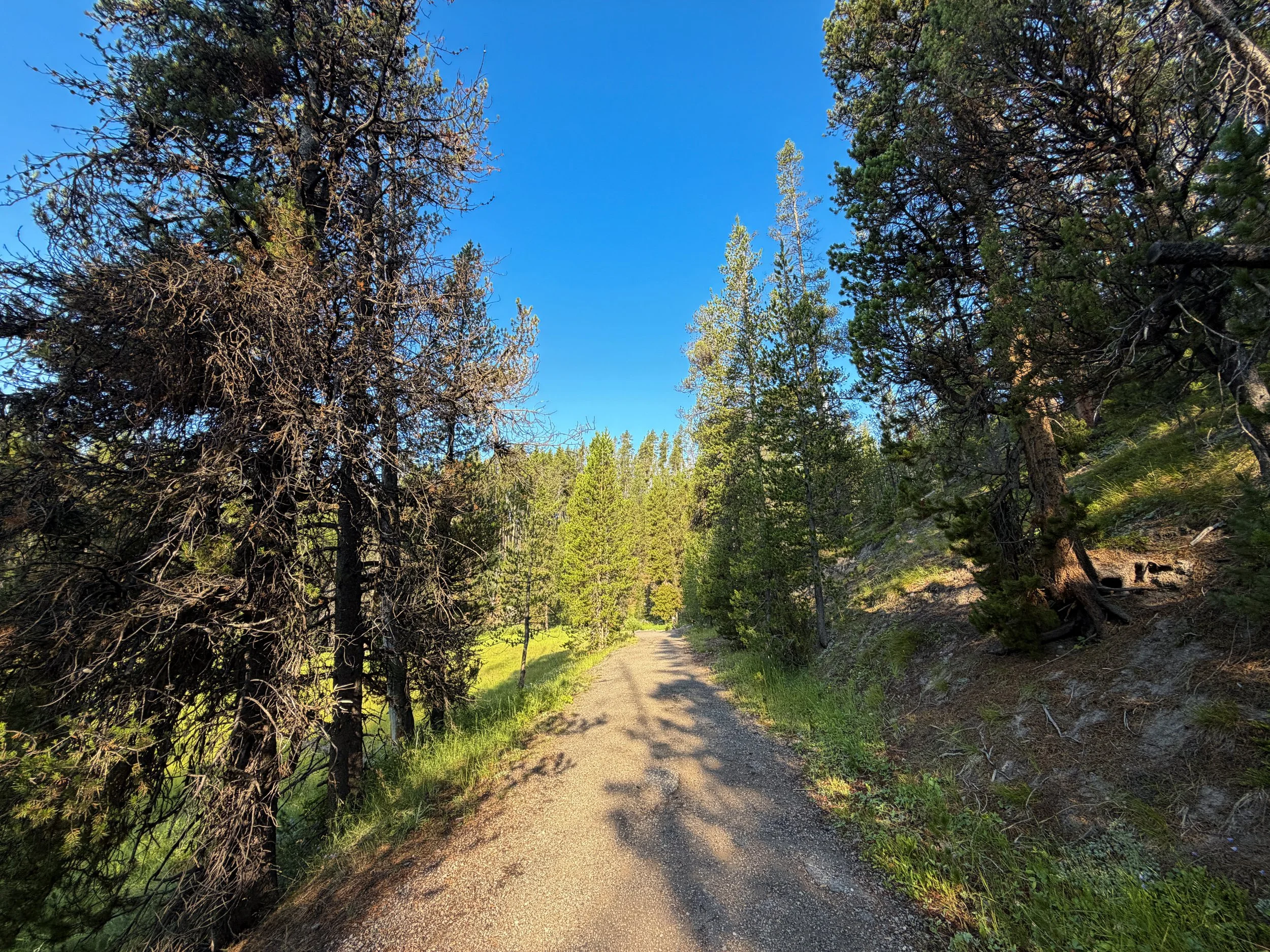 Natural Bridge Trail Yellowstone National Park Wyoming