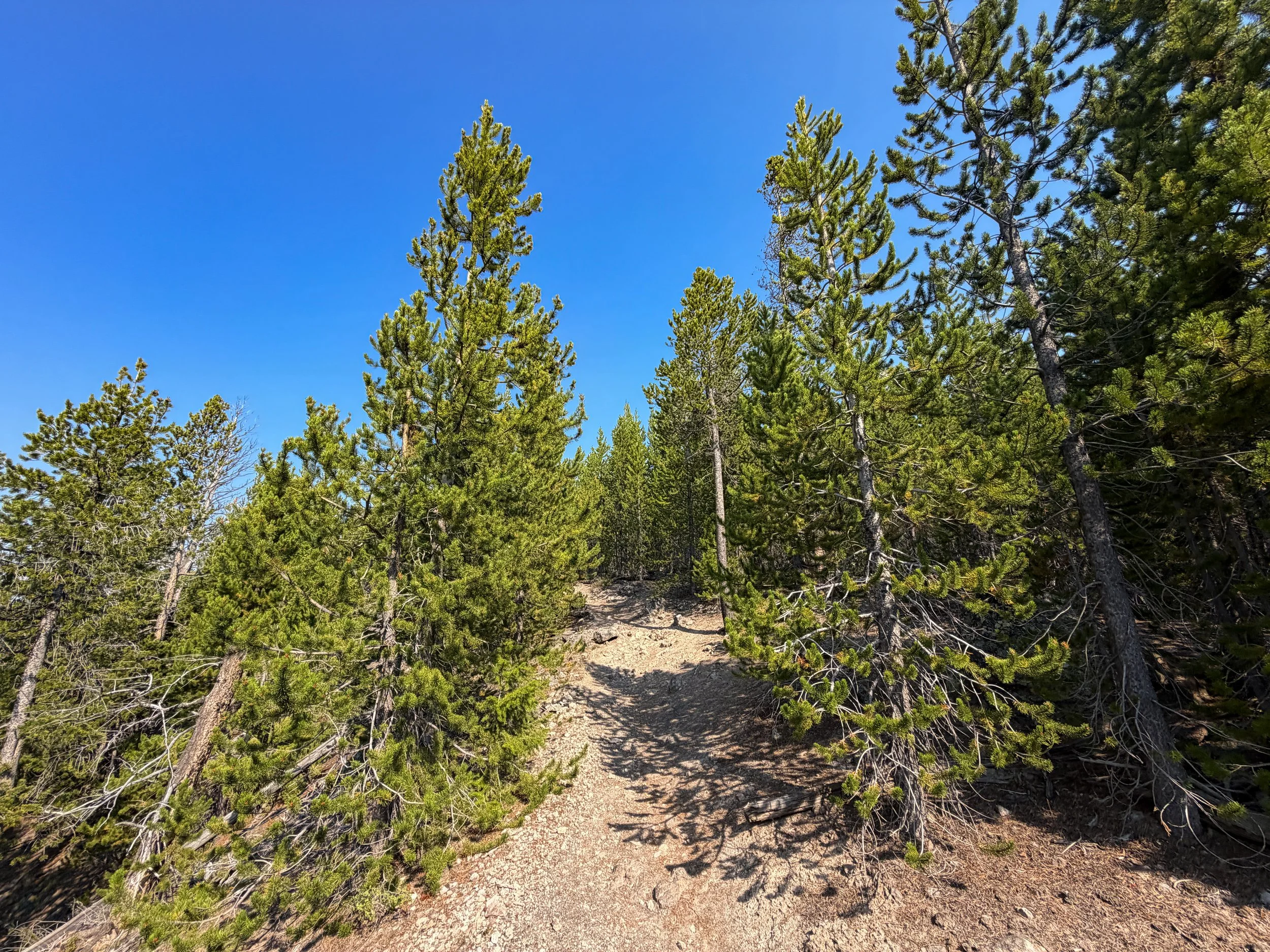 Mystic Falls Loop Trail Yellowstone National Park Wyoming