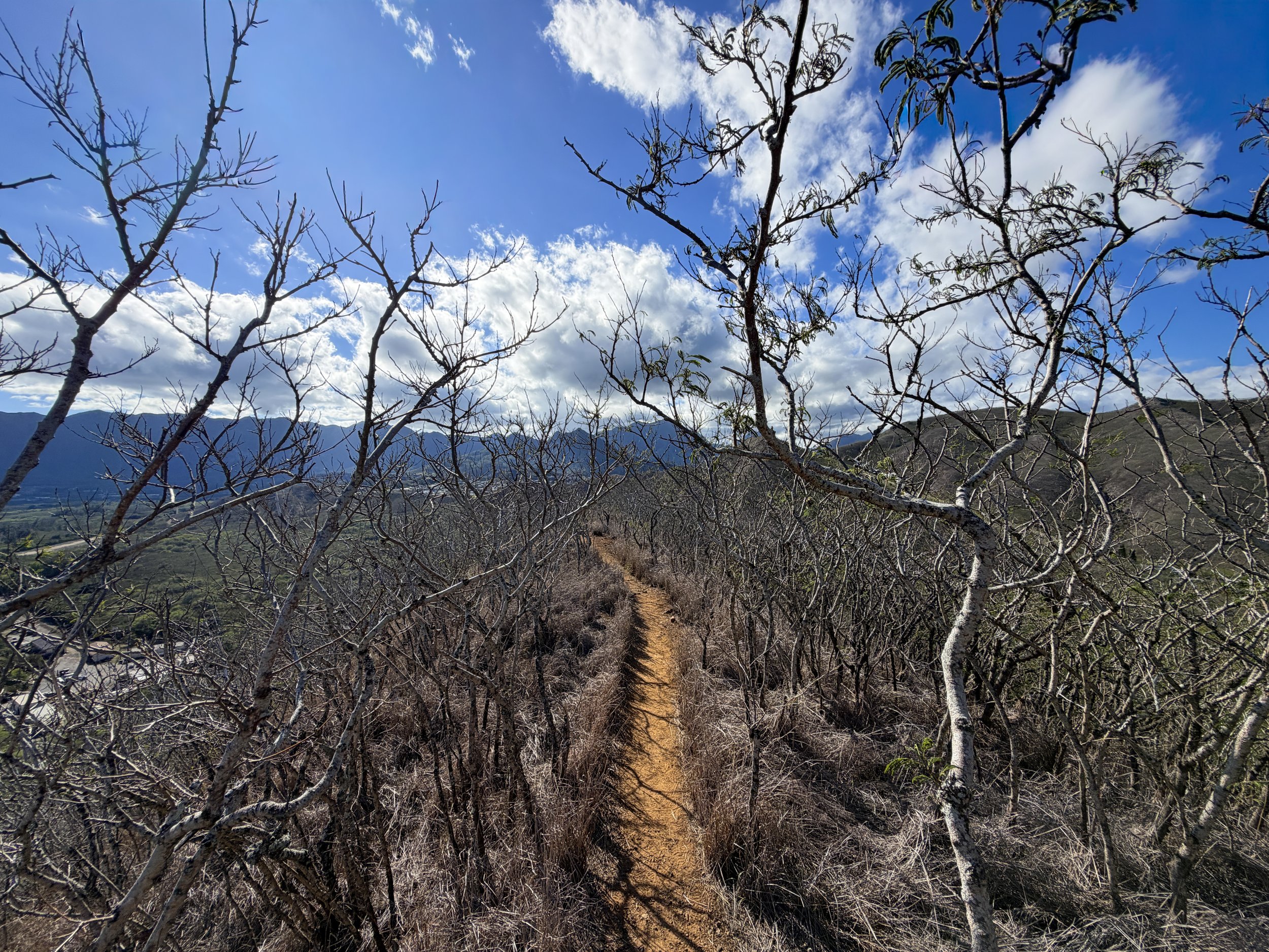 Back Kaiwa Ridge Trail Oahu Hawaii