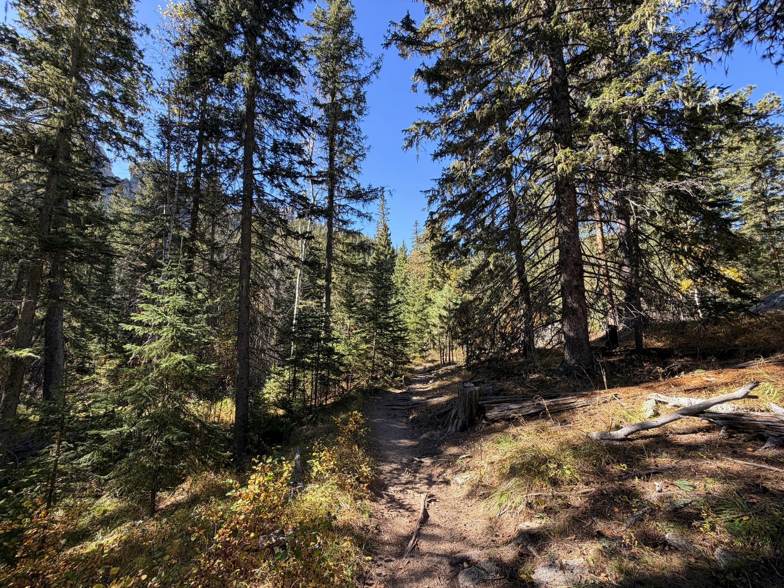 Sunday Gulch Hike Custer State Park Black Hills South Dakota