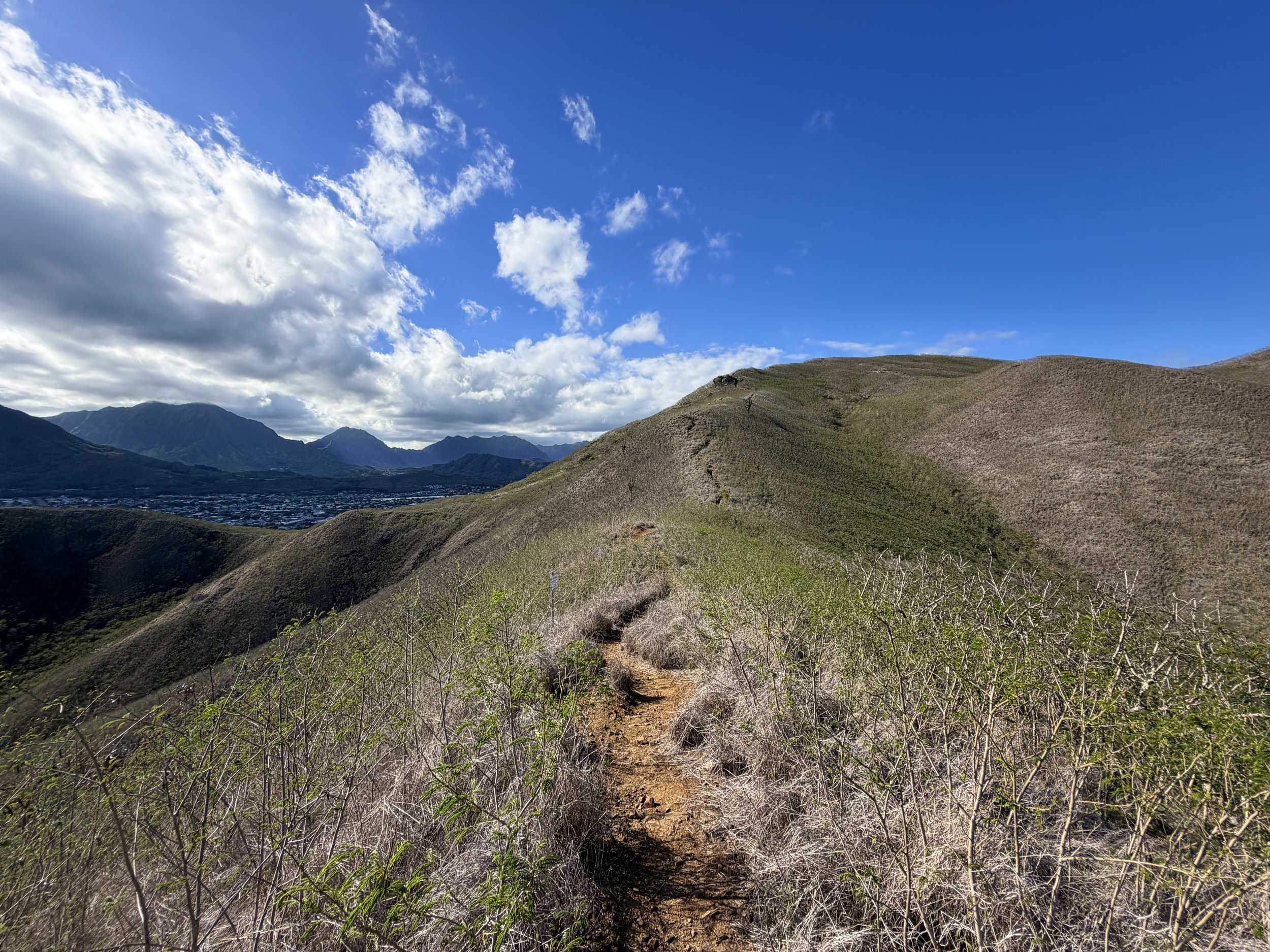 Back Lanikai Pillbox Hike Oahu Hawaii
