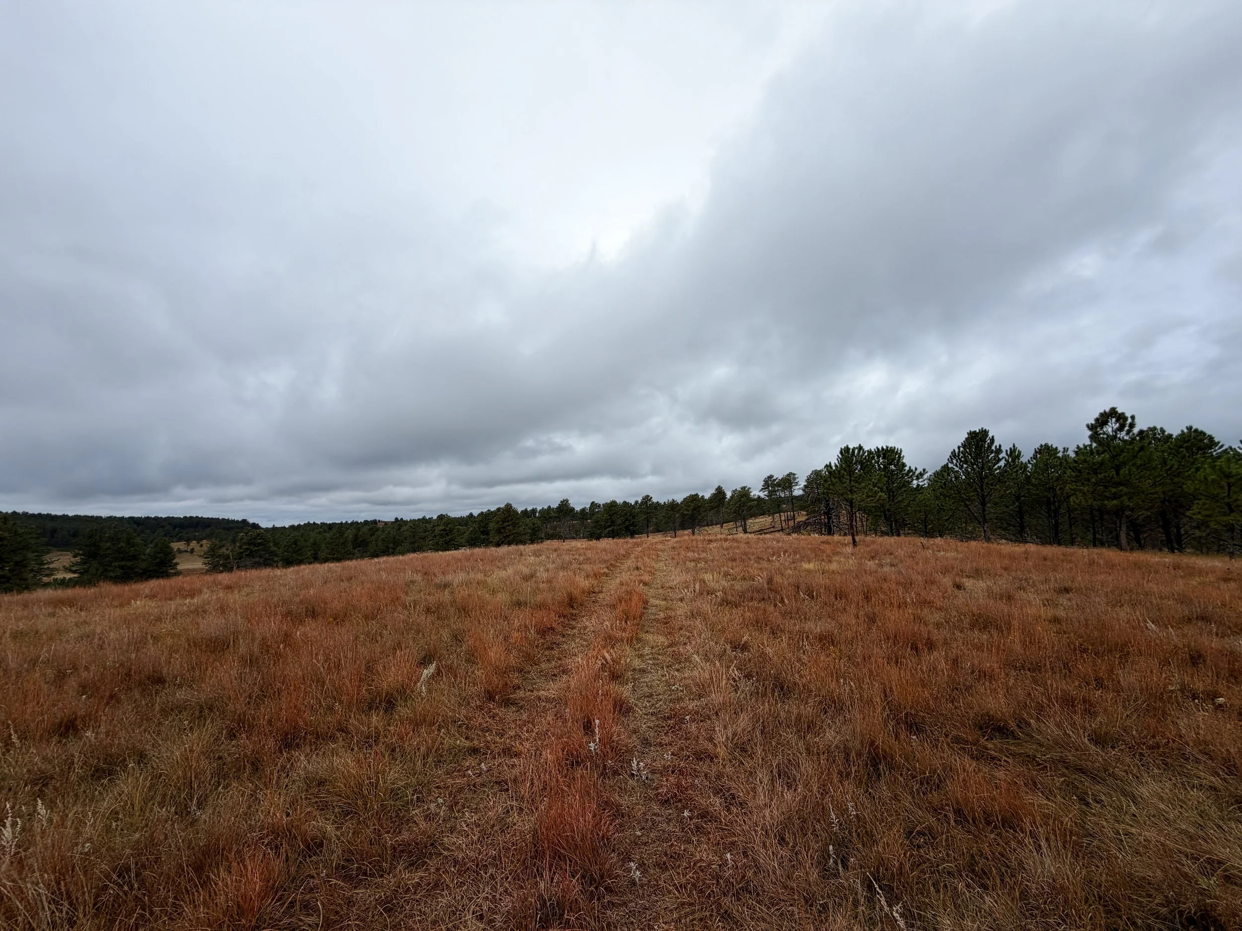 Highland Creek to Wind Cave Canyon Trail Wind Cave National Park South Dakota
