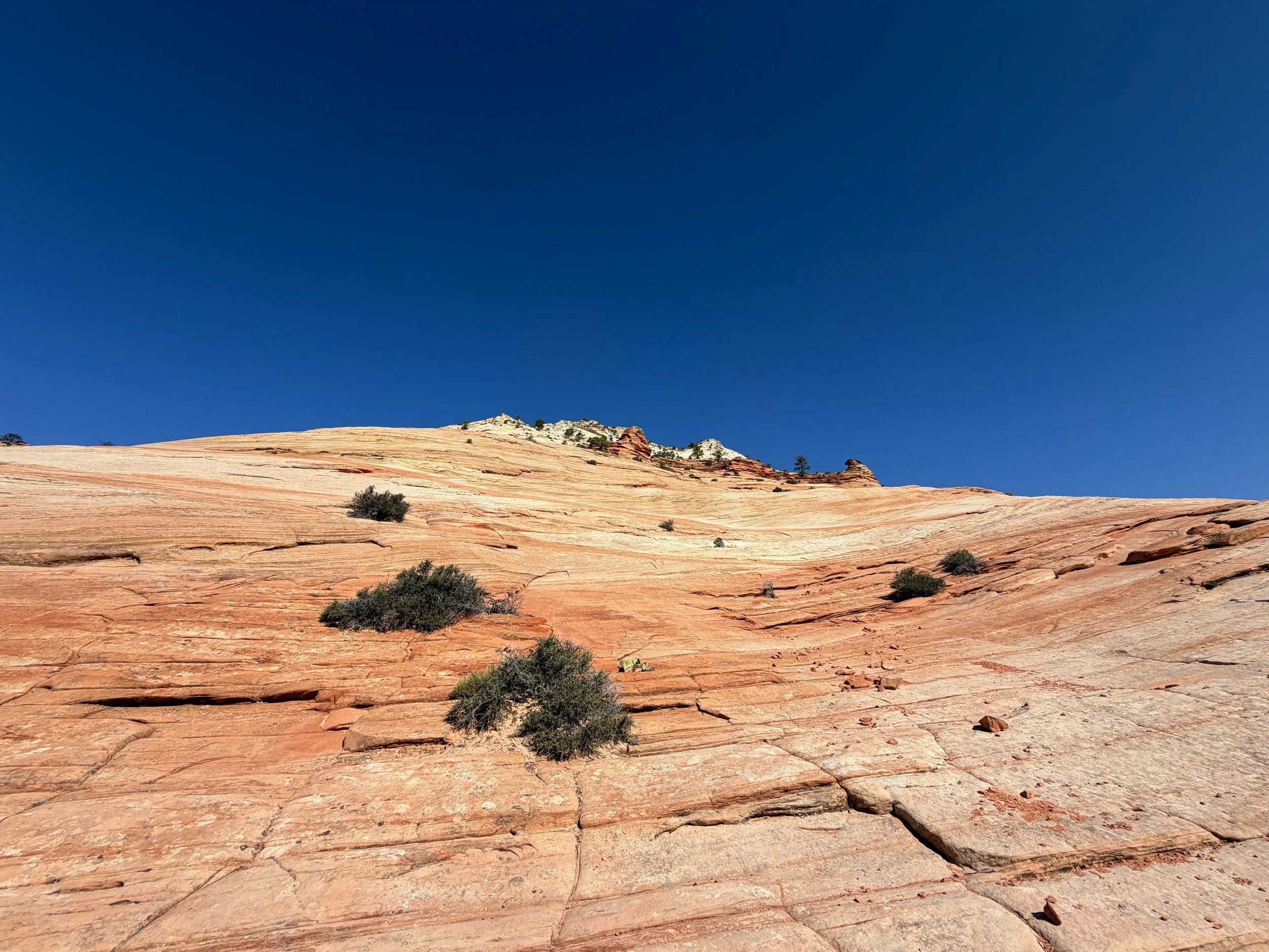 South Ariel Peak Trail Zion National Park Utah