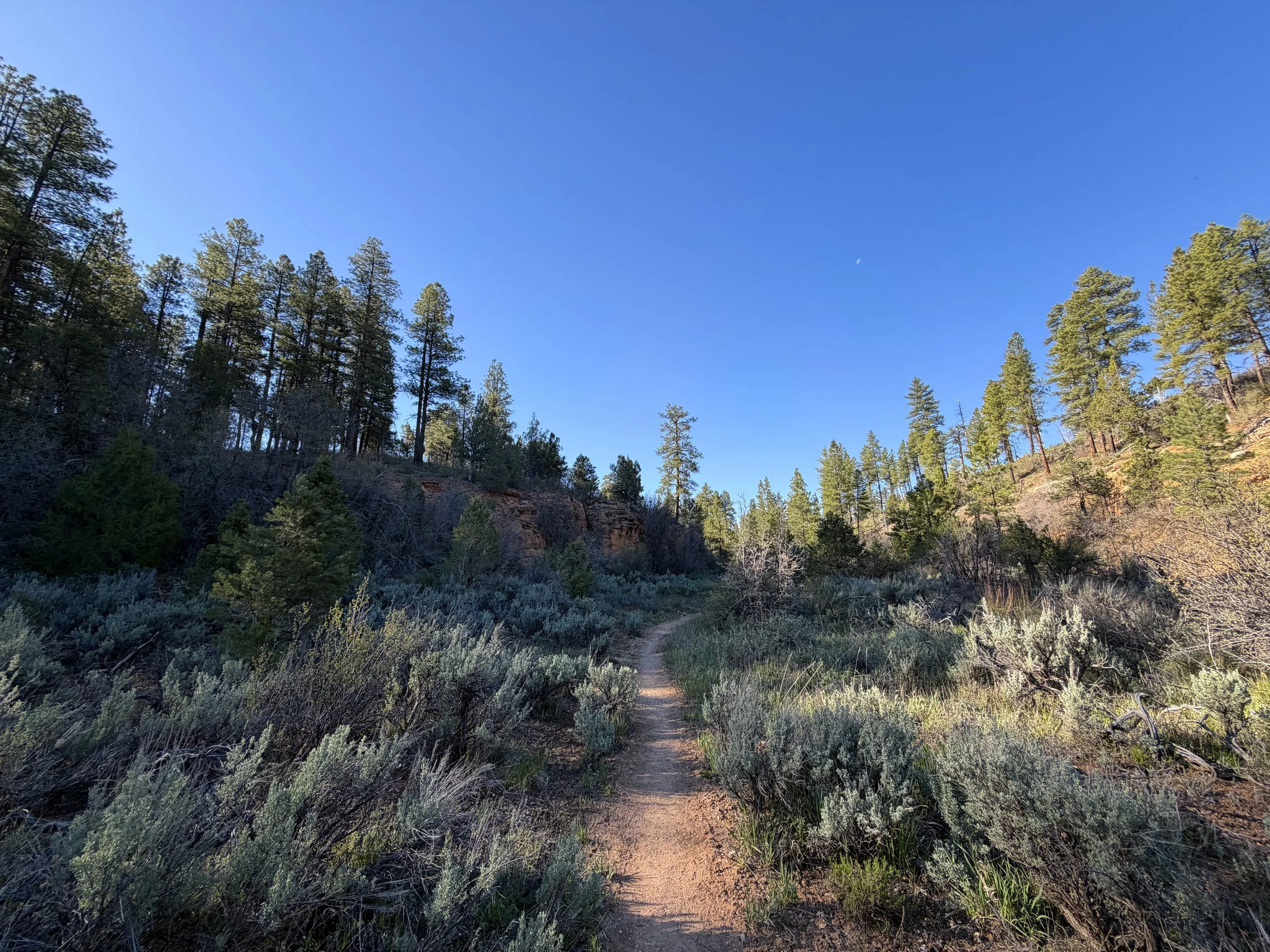 Deertrap Mountain Trail Zion National Park Utah