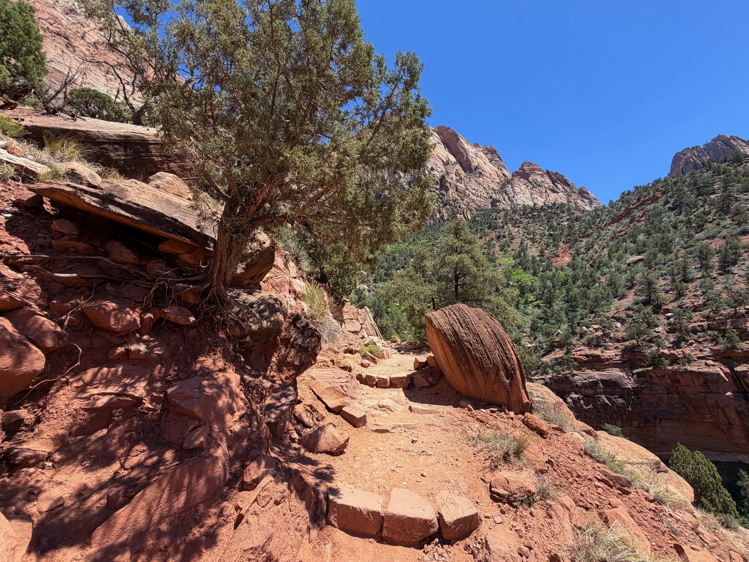 Watchman Trail Zion National Park Utah