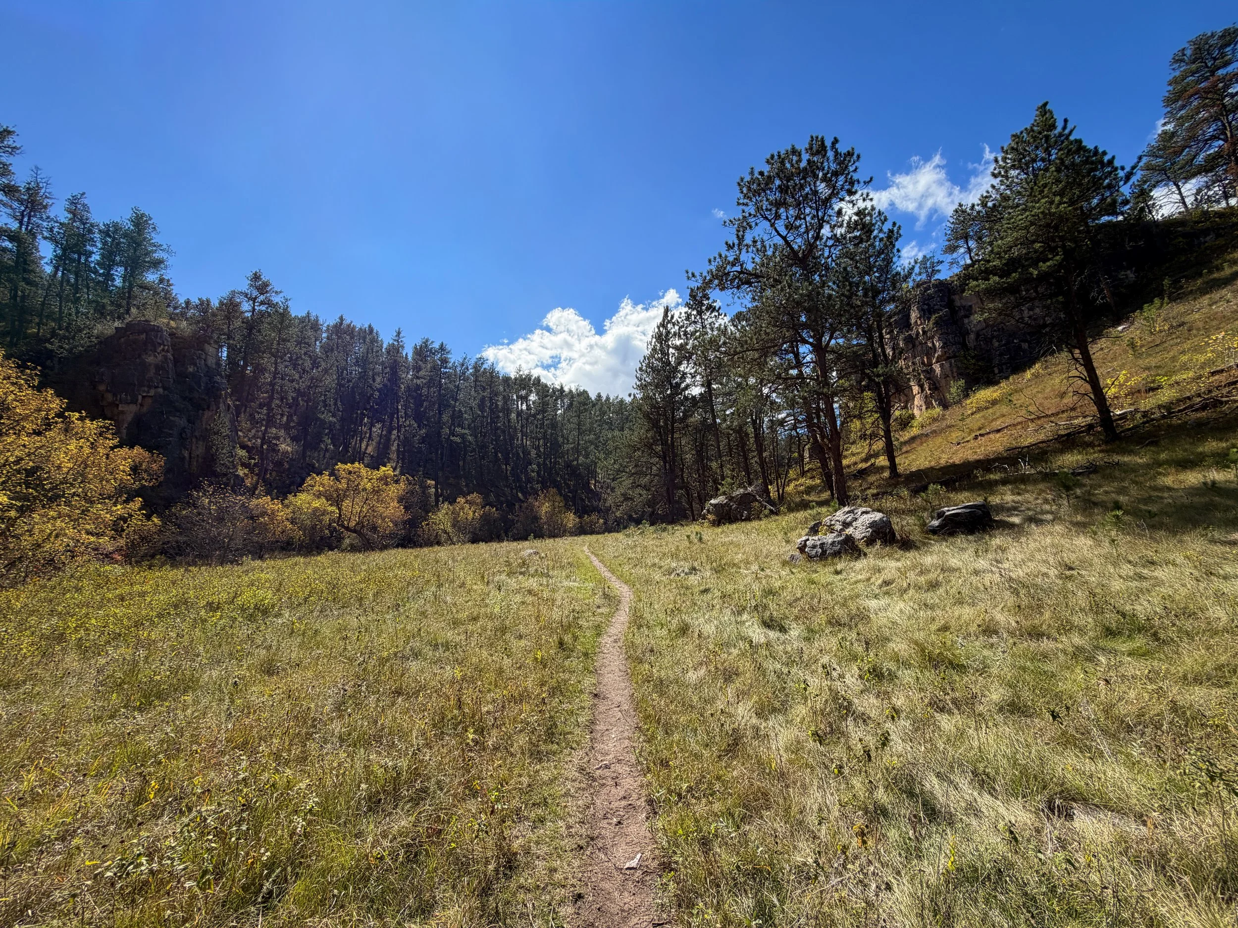 Lookout Point Loop Trail Wind Cave National Park South Dakota