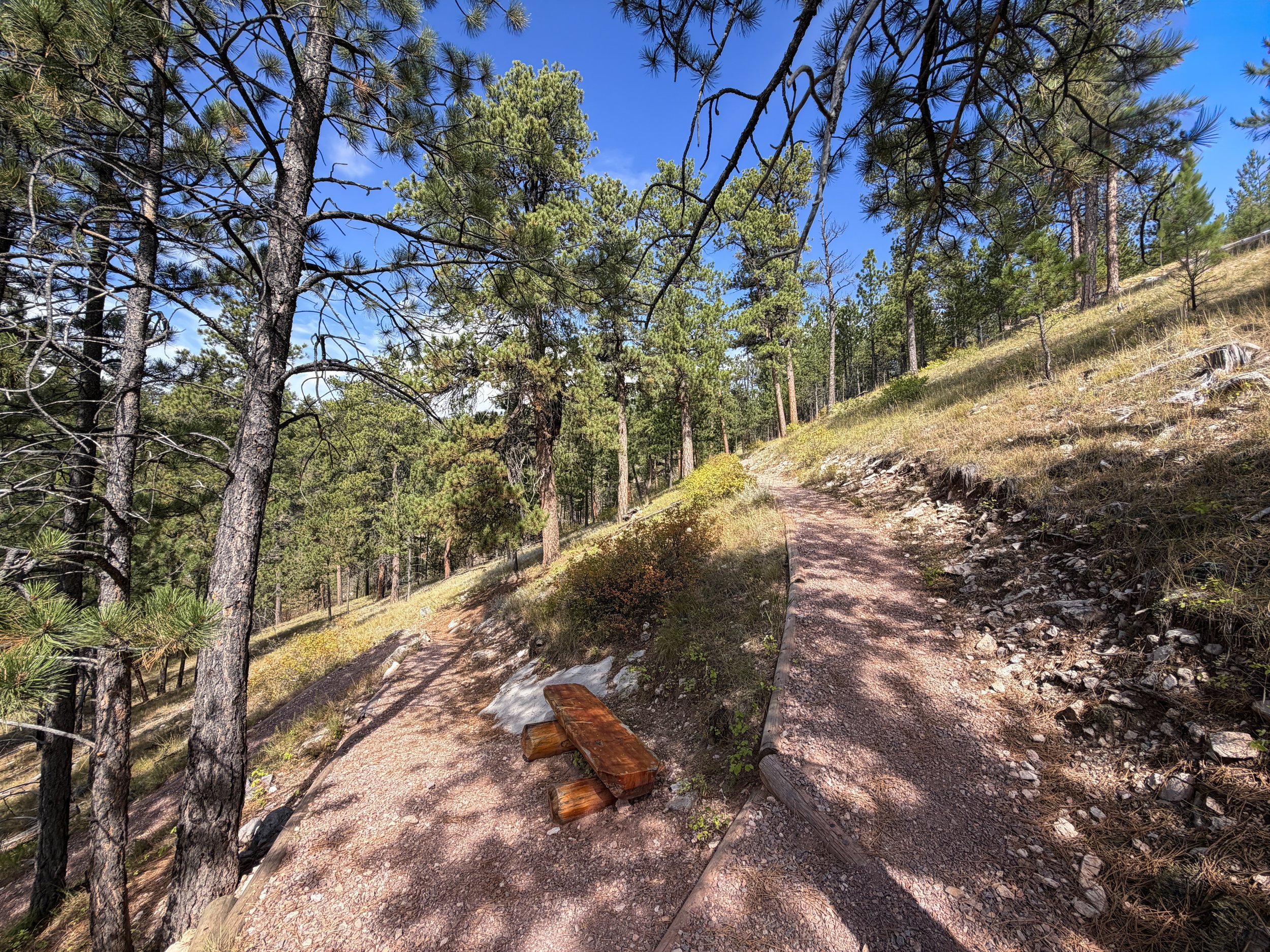 Canyons Trail Switchbacks Jewel Cave National Monument Black Hills South Dakota