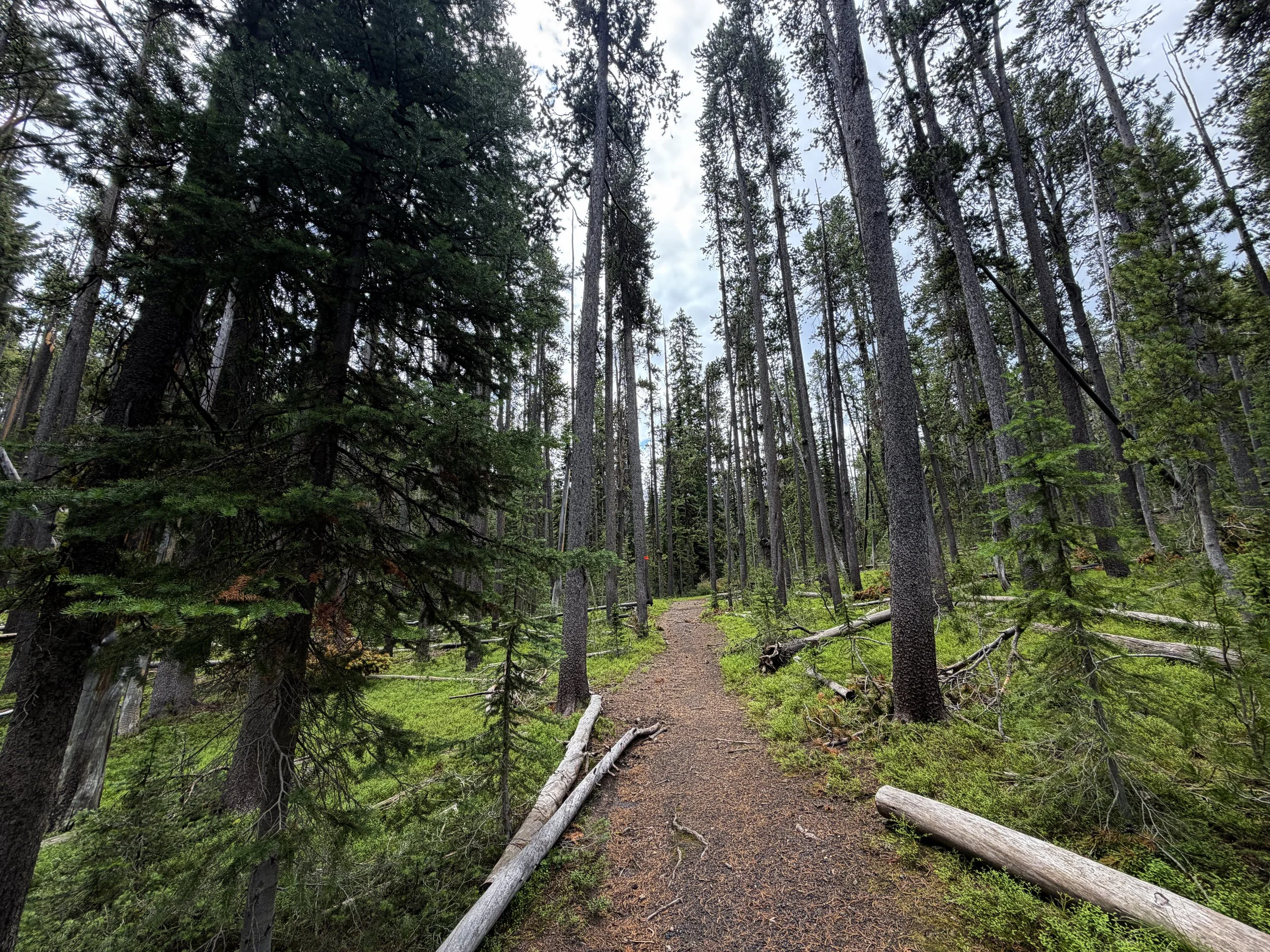 Divide Hike Yellowstone National Park Wyoming