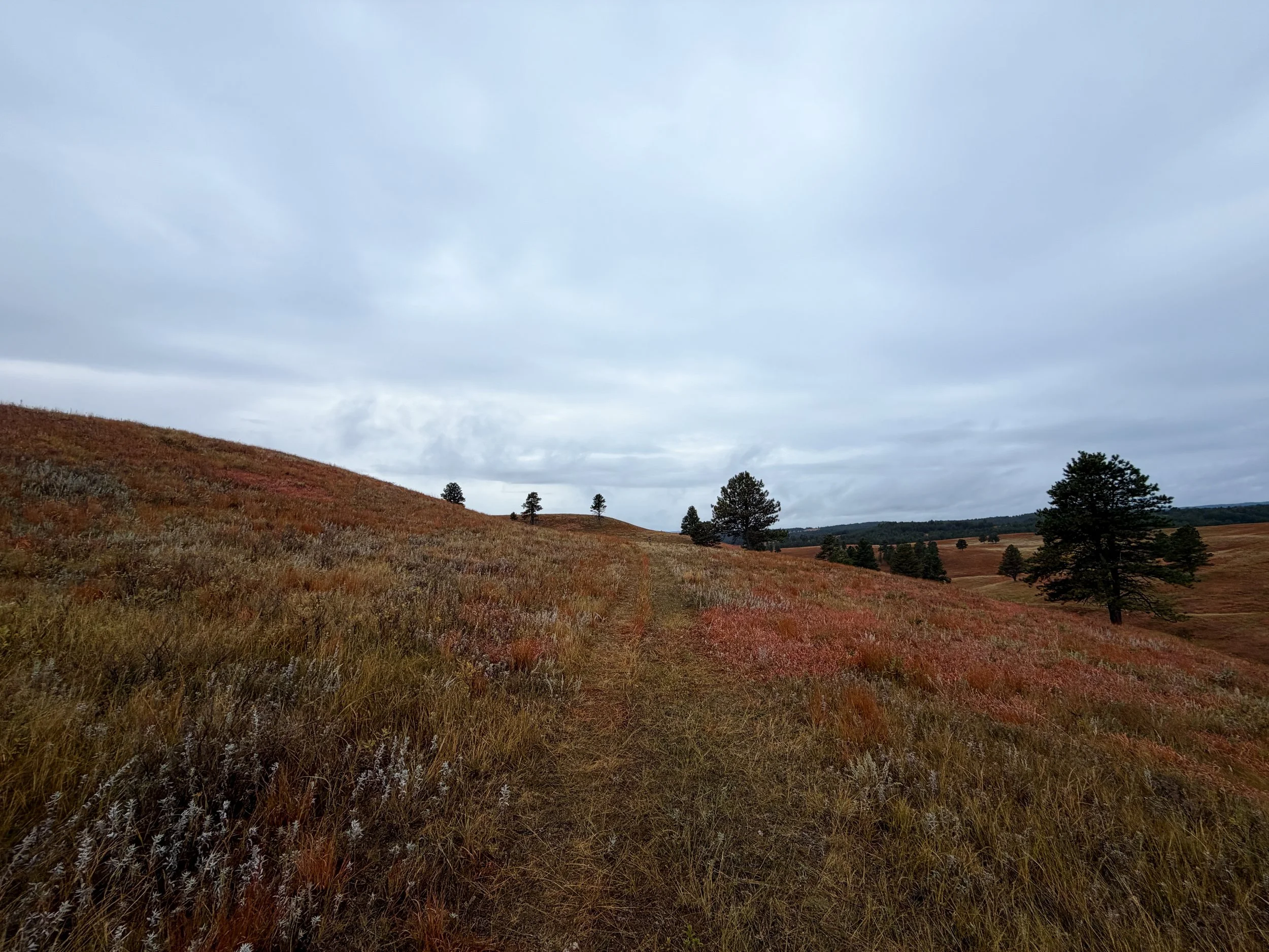 Highland Creek Trail Wind Cave National Park South Dakota