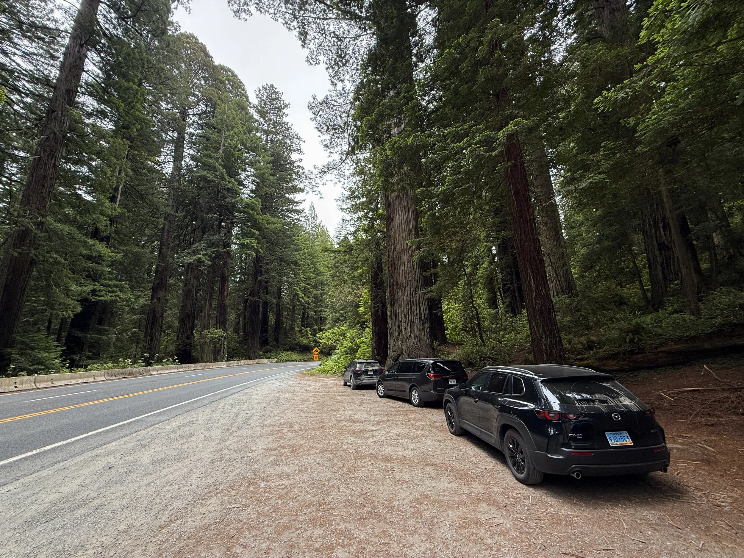 Damnation Creek Trailhead Parking Del Norte Coast Redwoods State Park California