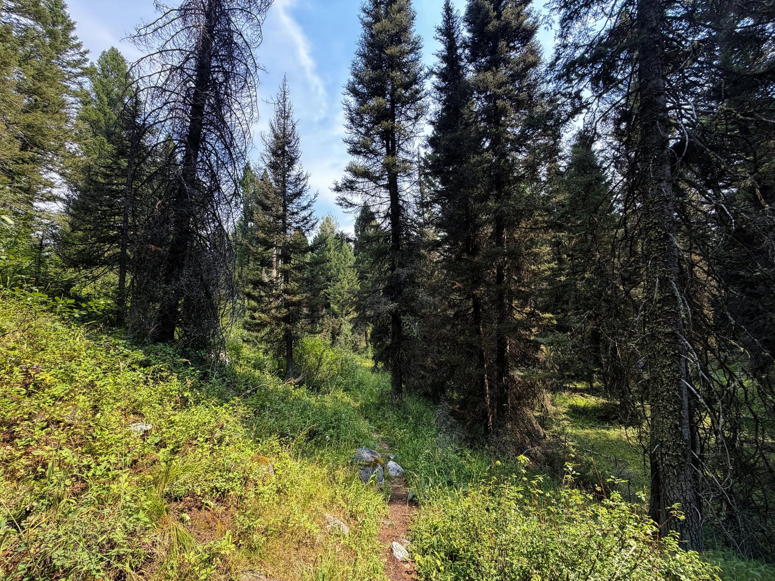 Boulder Ridge Loop Trail Grand Teton National Park Wyoming
