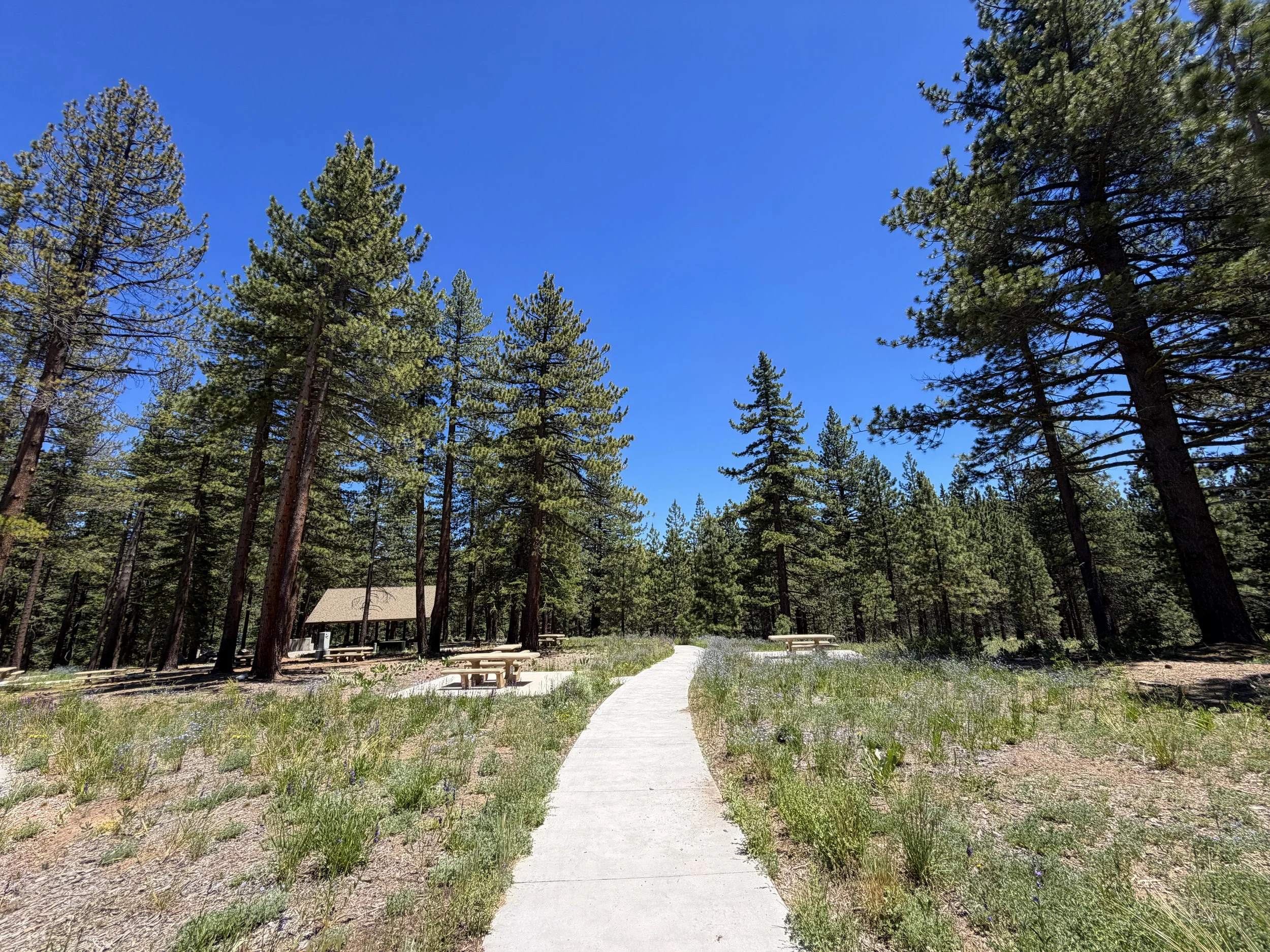 Spooner Lake Loop Trail Lake Tahoe Nevada