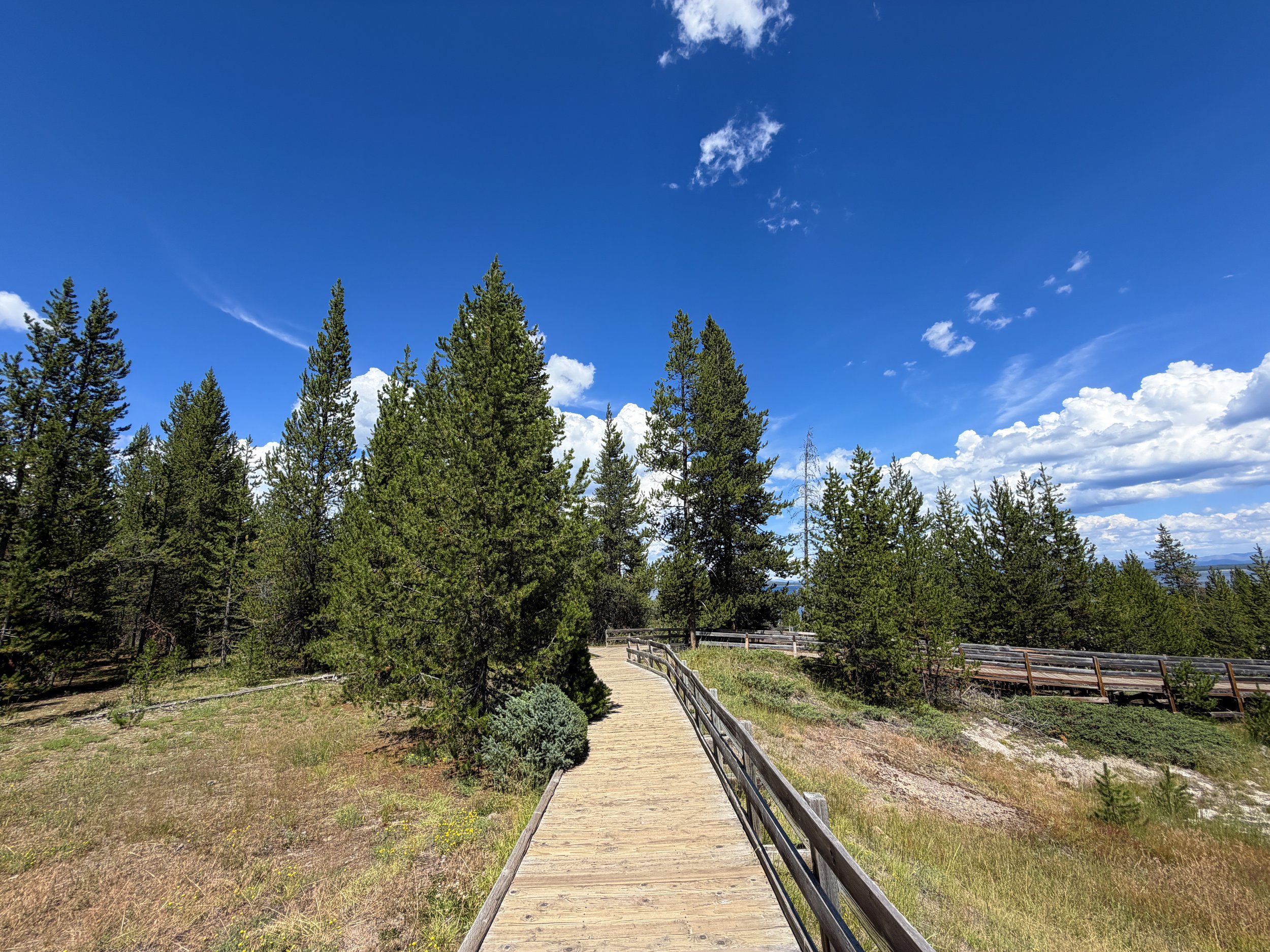 West Thumb Geyser Basin Trail Yellowstone National Park Wyoming