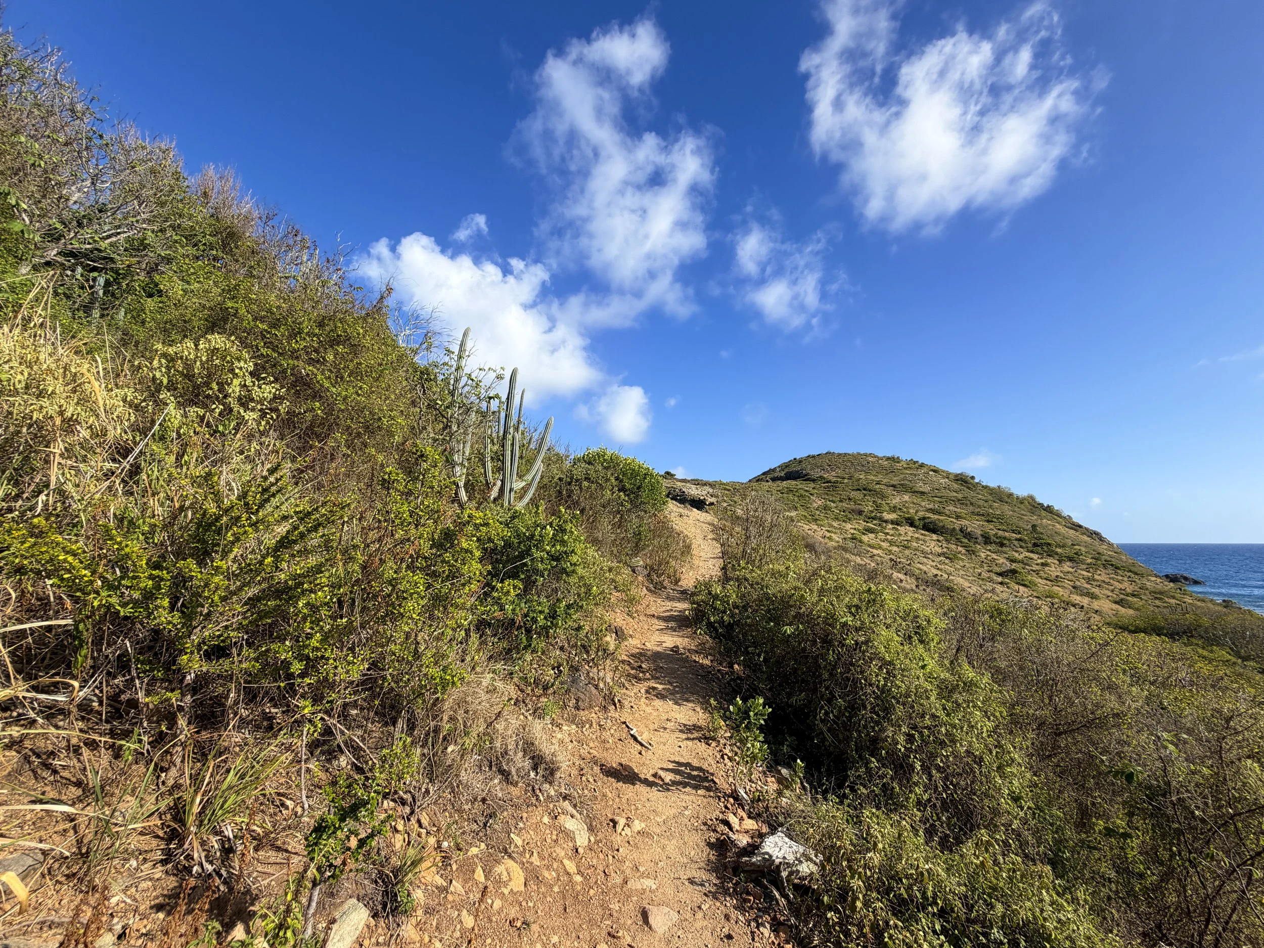 Ram Head Trail Virgin Islands National Park