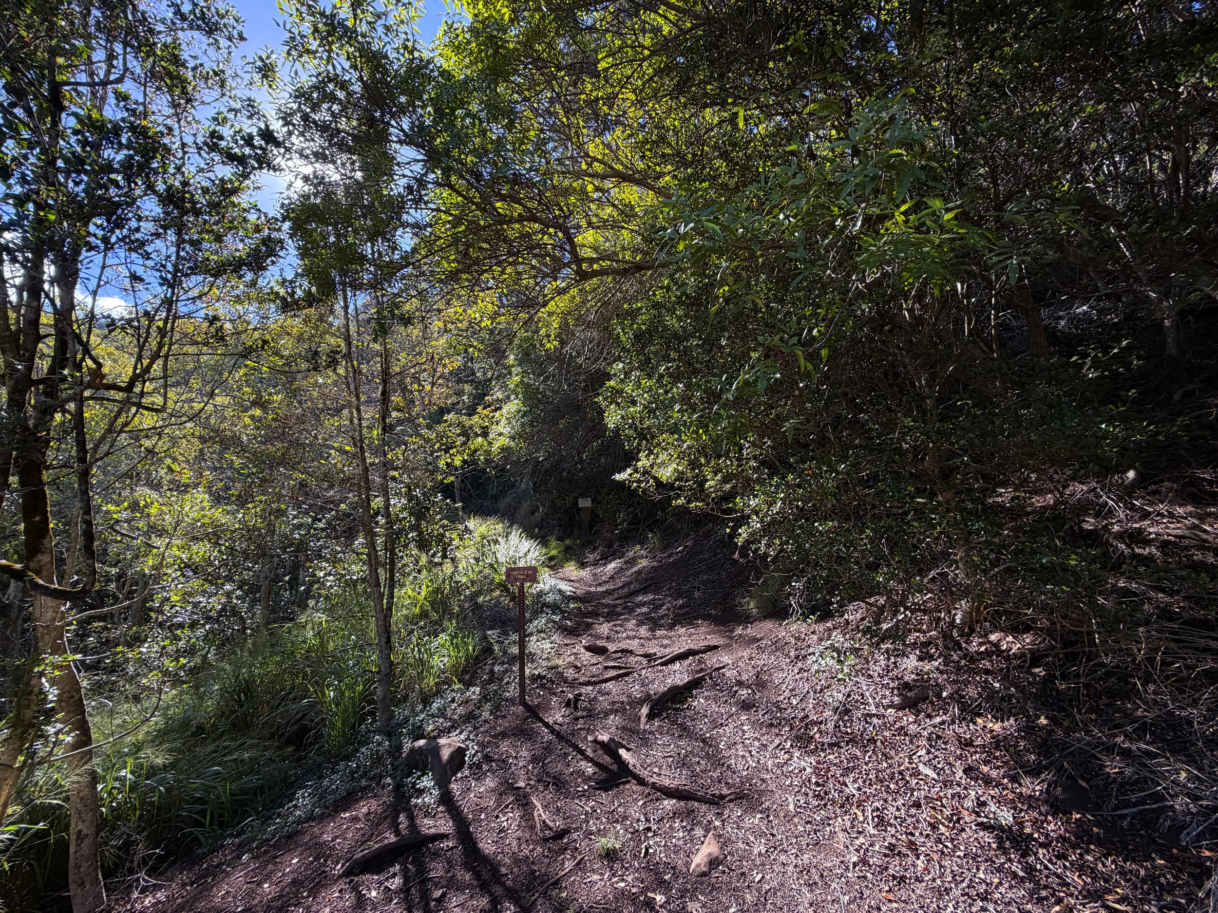 Mokuleia Trailhead Oahu Hawaii
