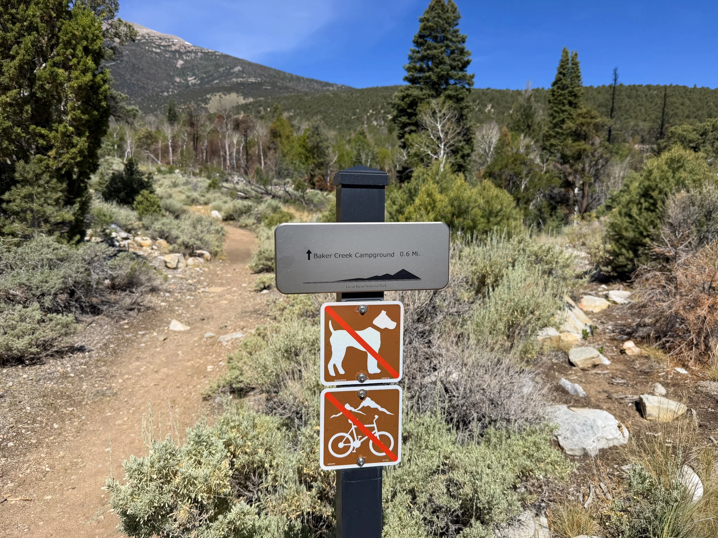 Grey Cliffs Campground Pole Canyon Trail Great Basin National Park Nevada