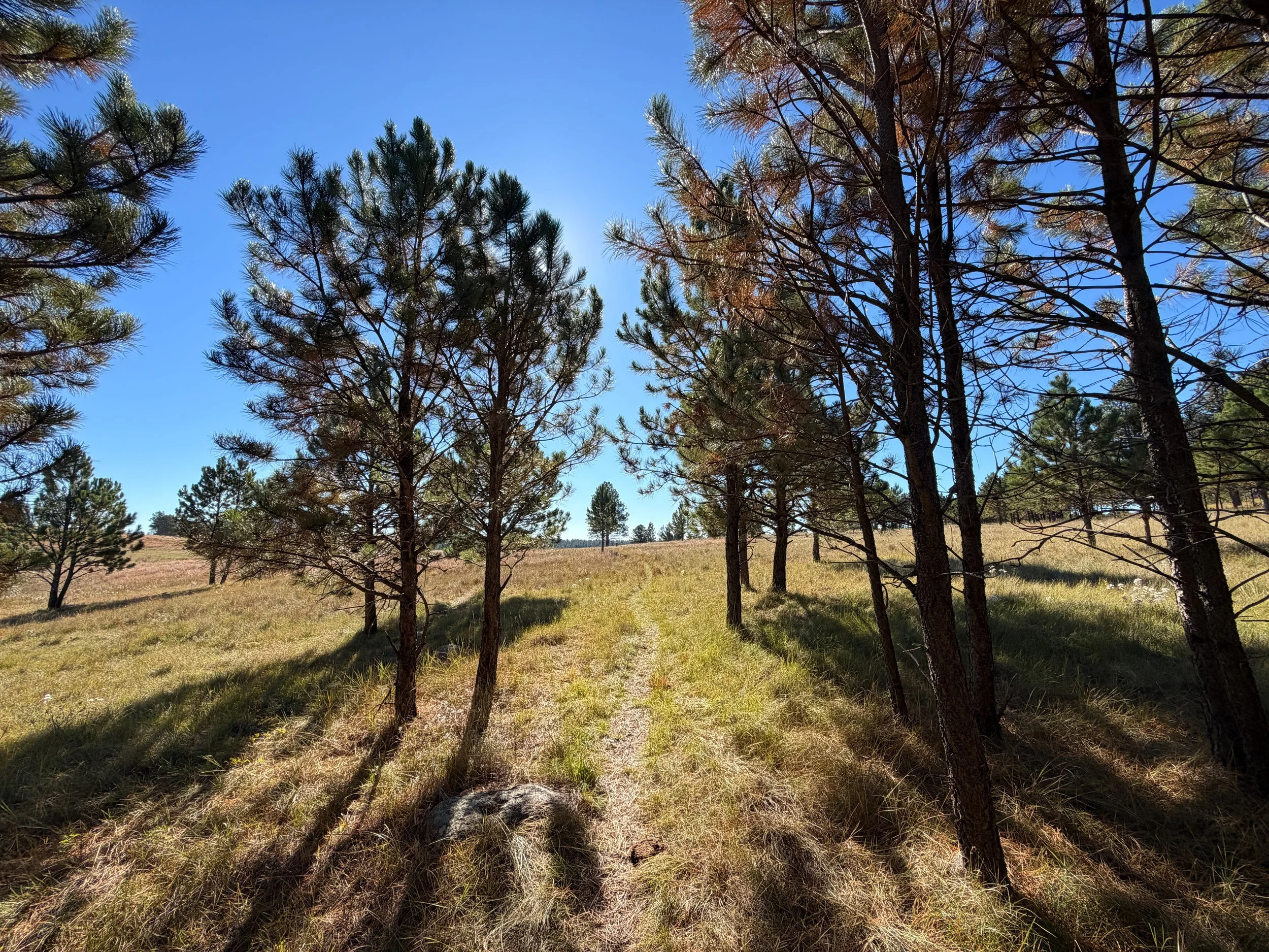 Sanctuary Hike Wind Cave National Park South Dakota