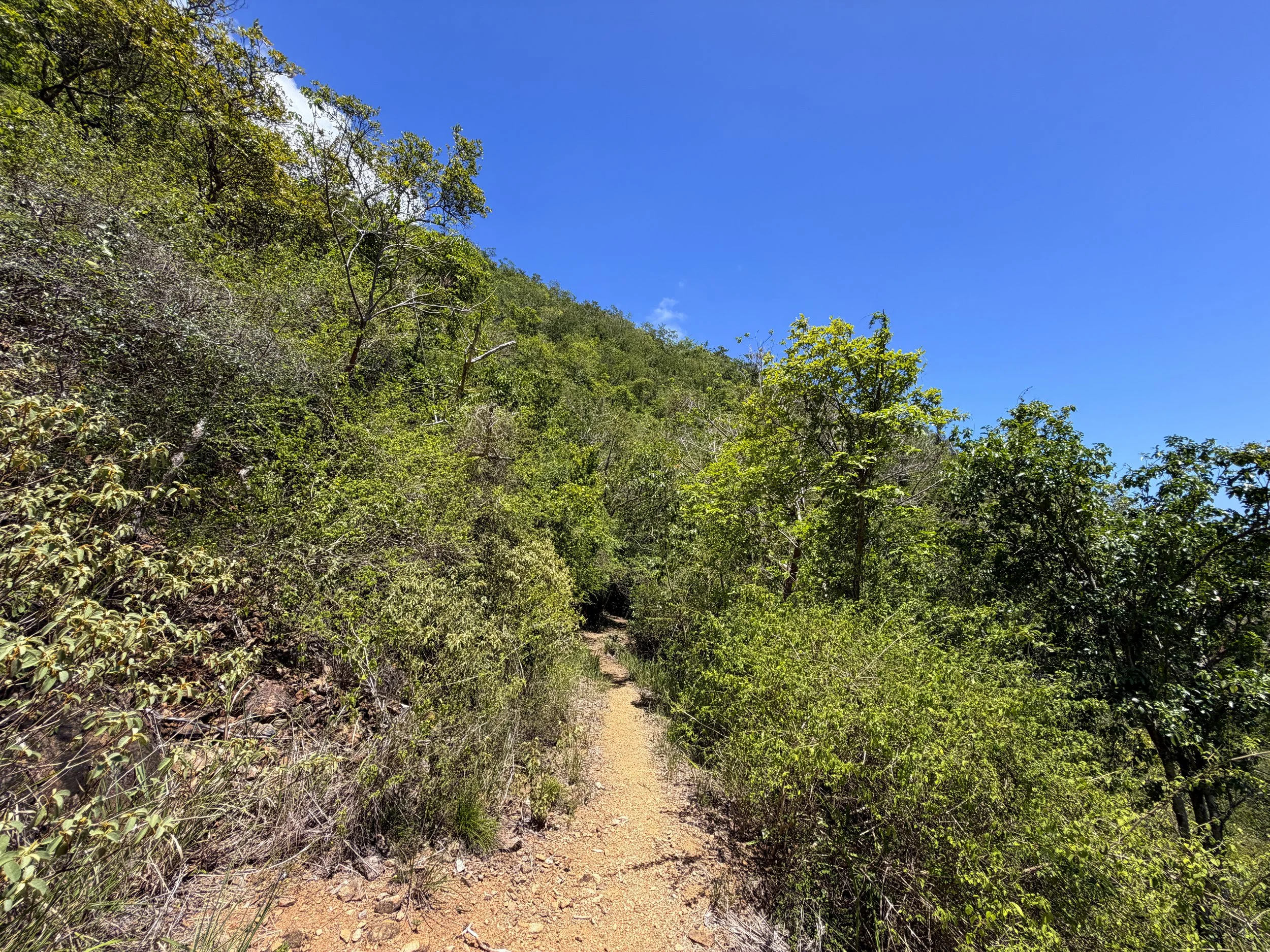 LEsperance Trail Virgin Islands National Park