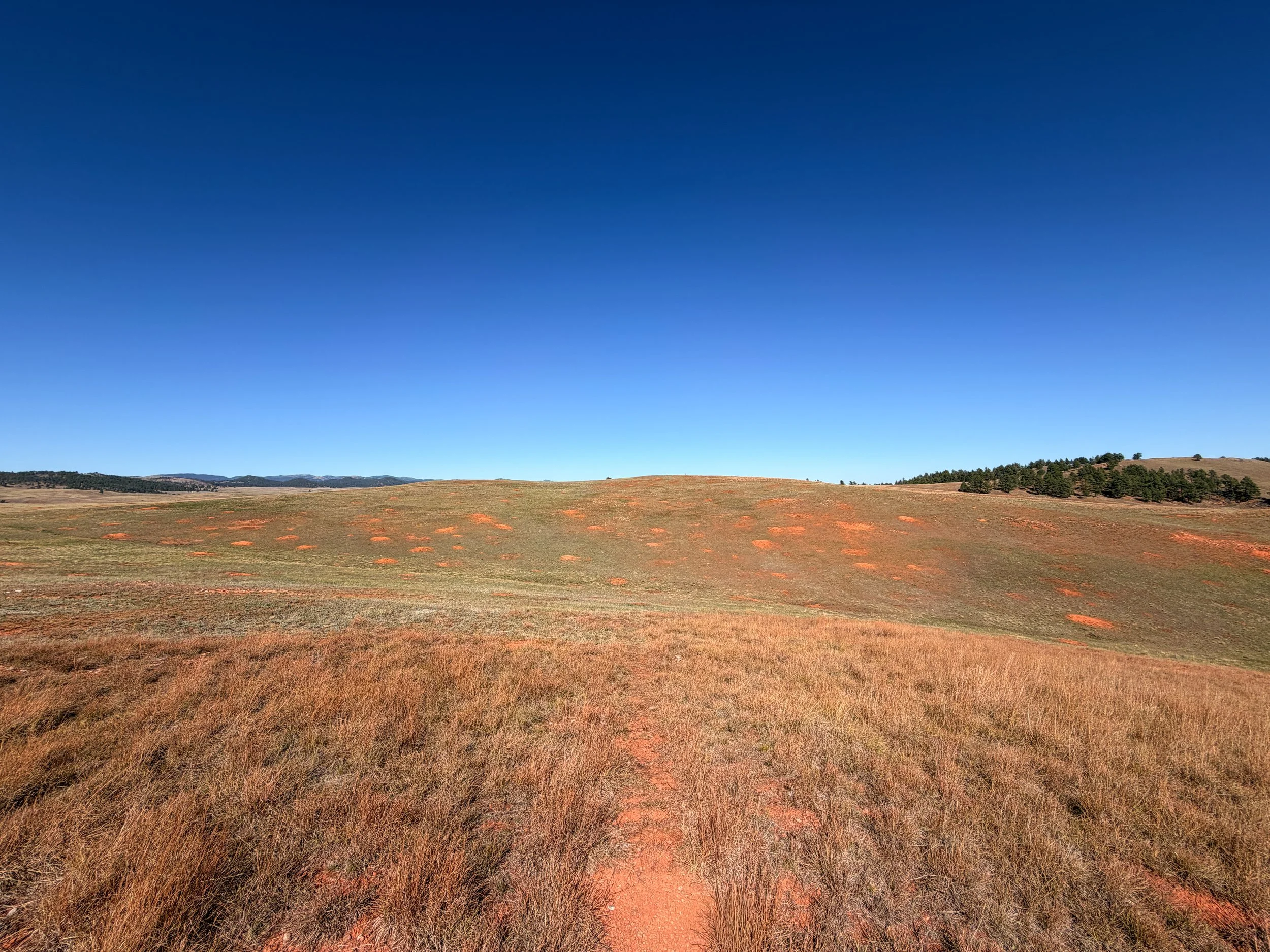 East Bison Flats to Wind Cave Canyon Trail Wind Cave National Park South Dakota