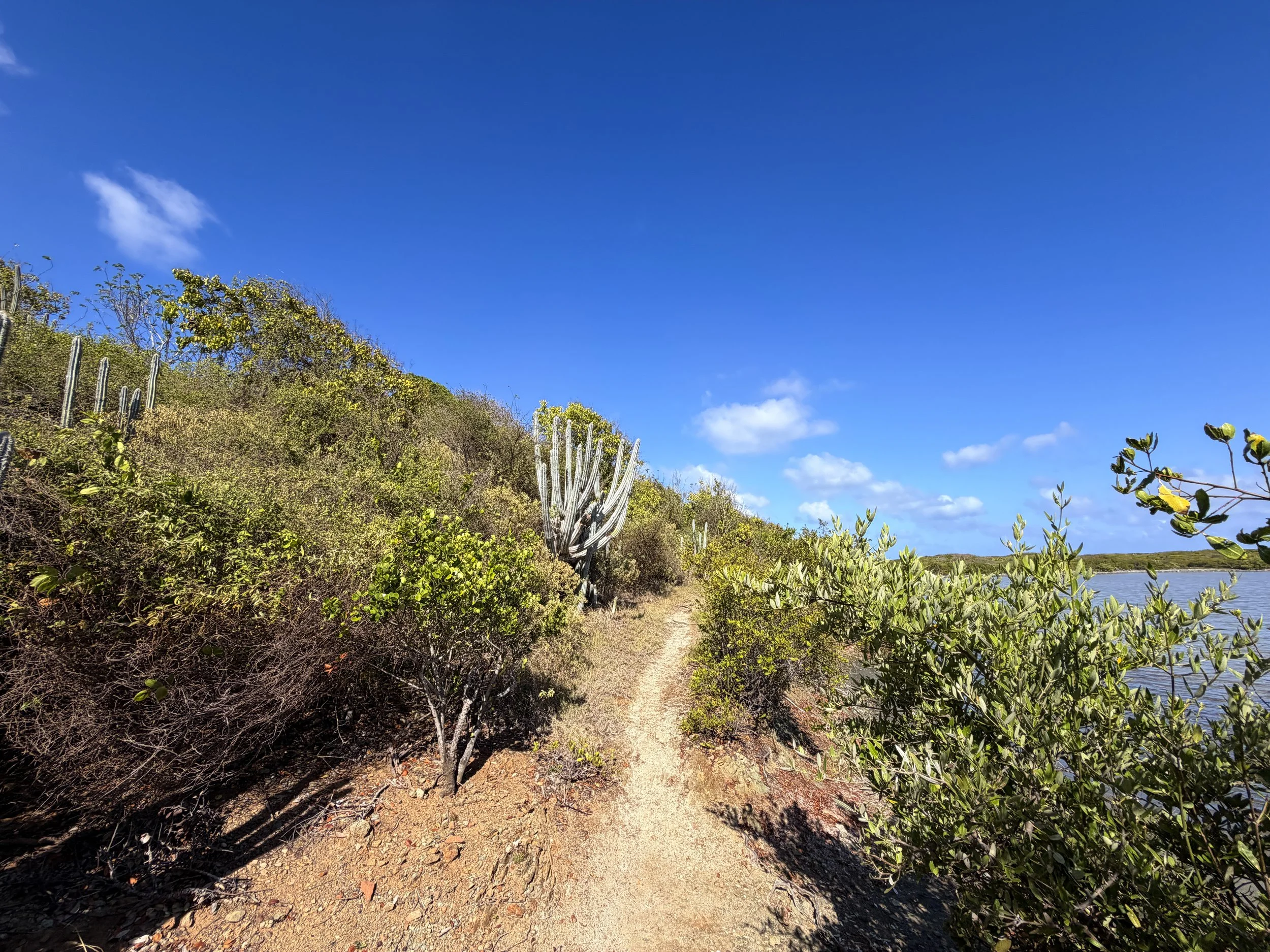 Drunk Bay Hike Virgin Islands National Park
