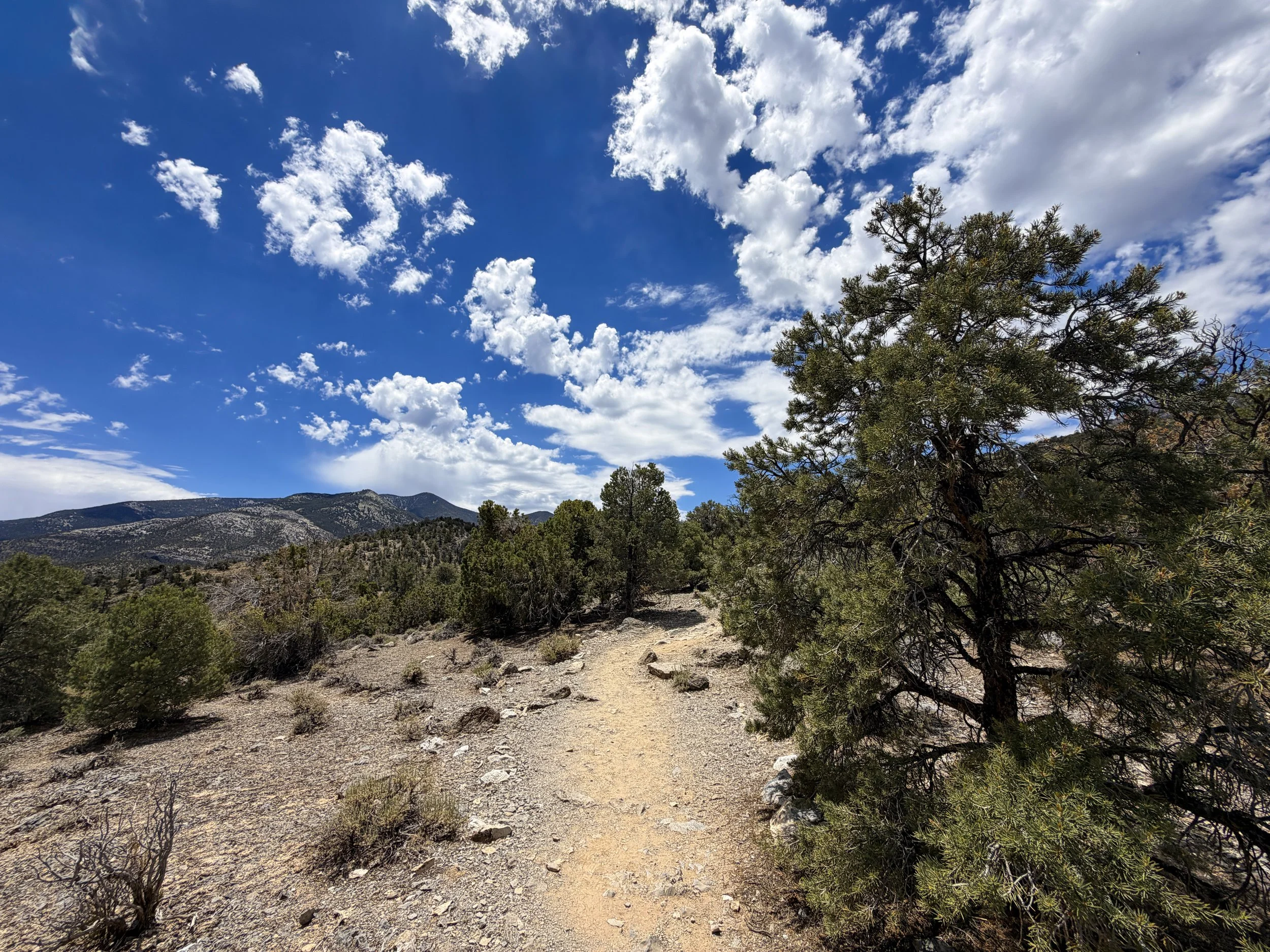 Mountain View Nature Hike Great Basin National Park Nevada