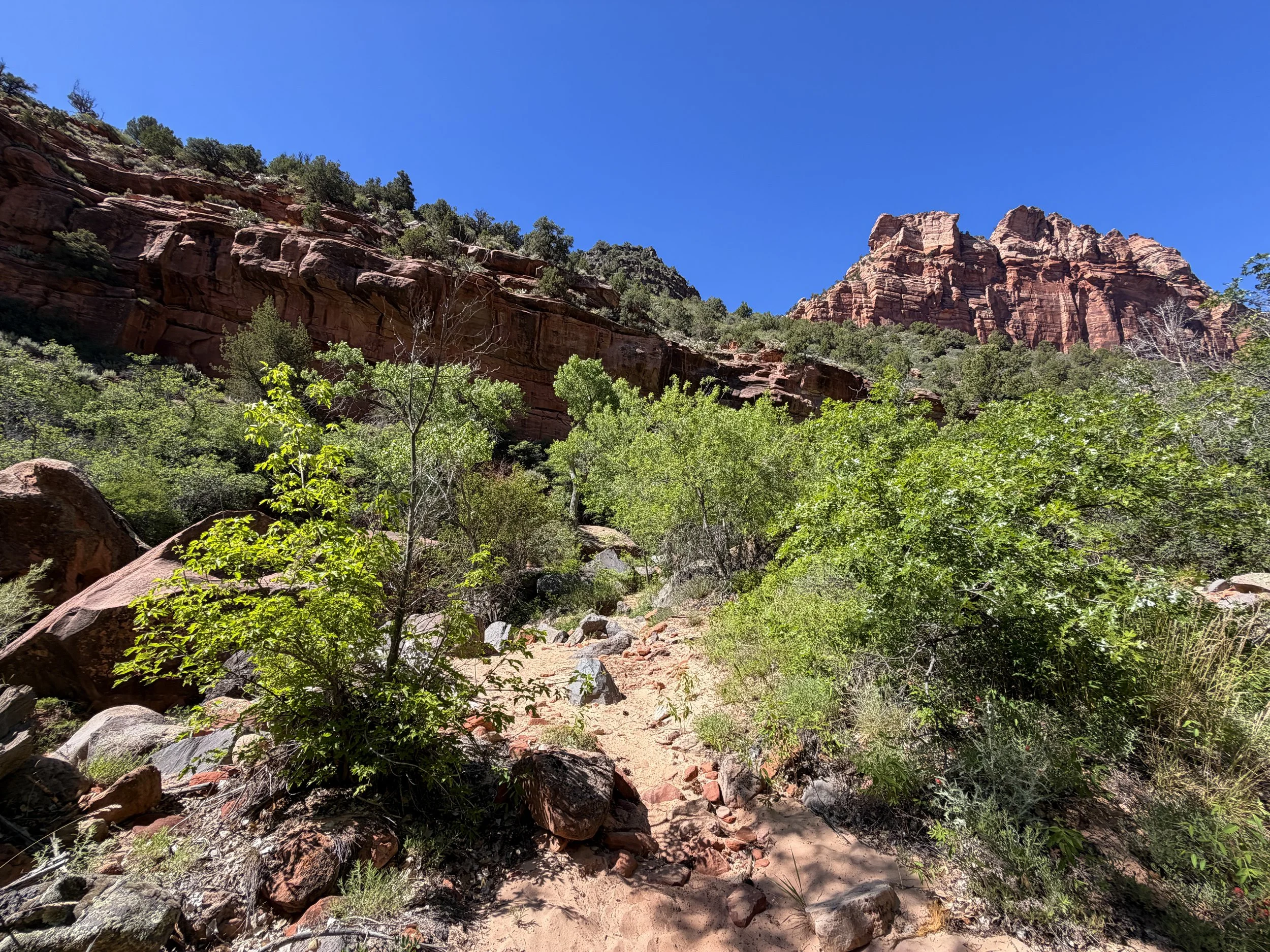 Subway Trail via Left Fork Trailhead Zion National Park Utah