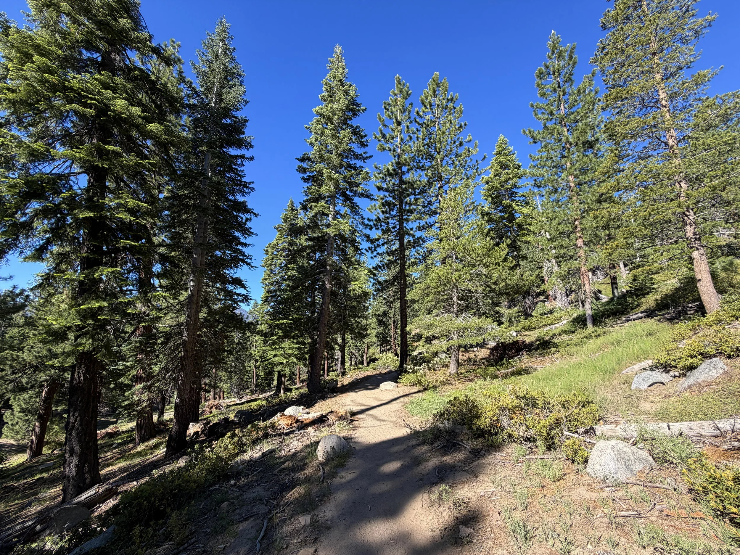 Castle Rock Trail Lake Tahoe Nevada
